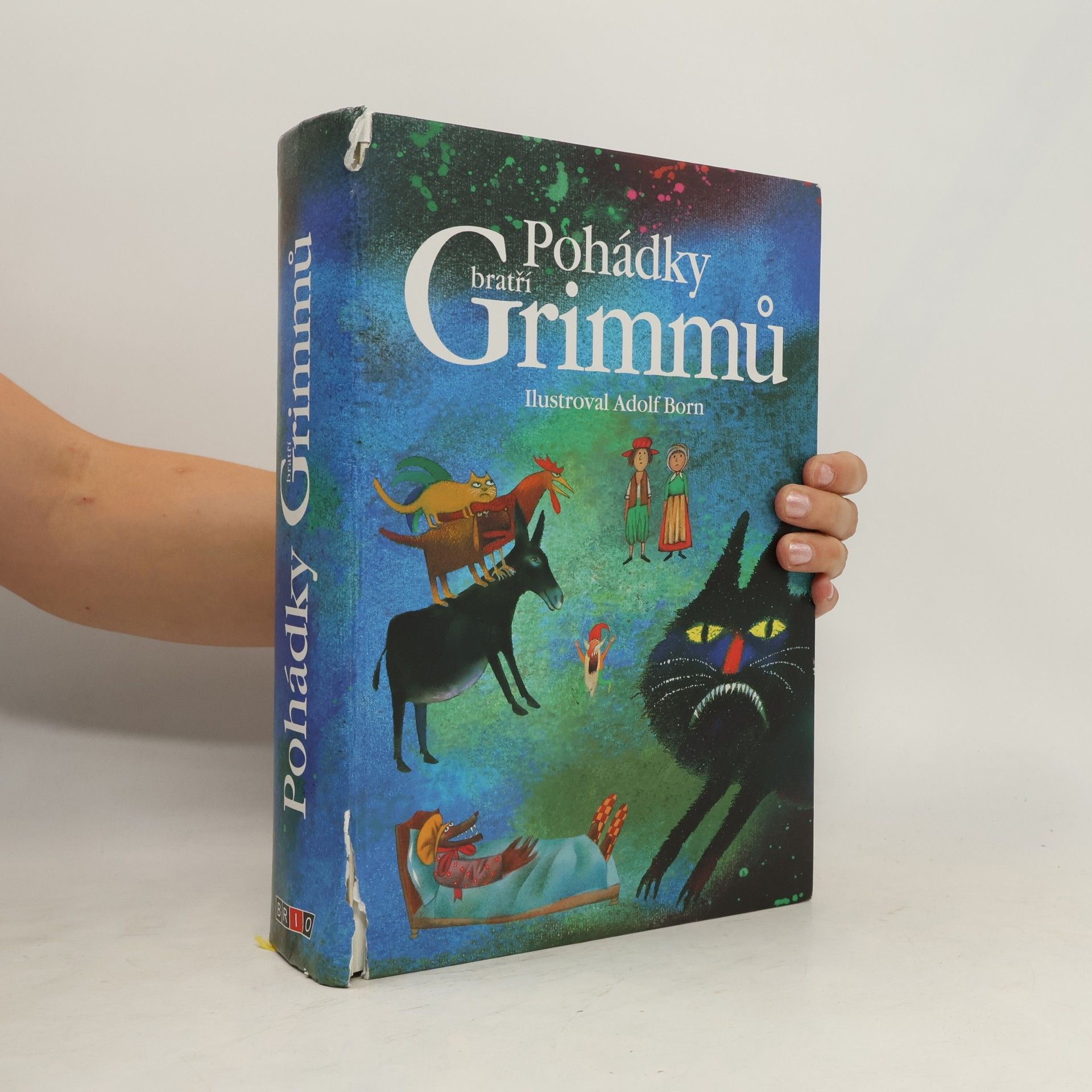 Jacob Grimm Pohádky bratří Grimmů