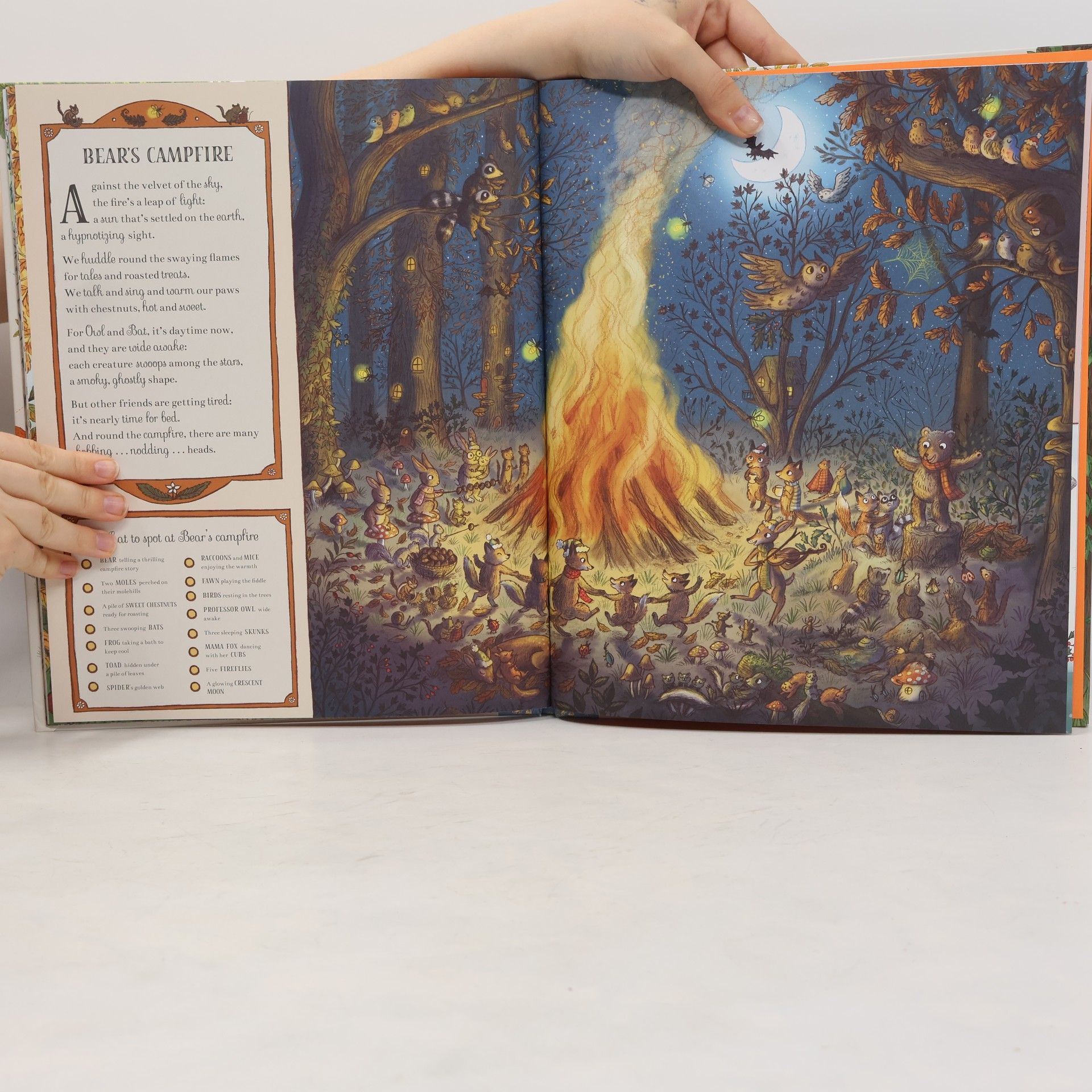 Rachel Piercey Brown Bear Wood: If You Go Down to the Woods Today