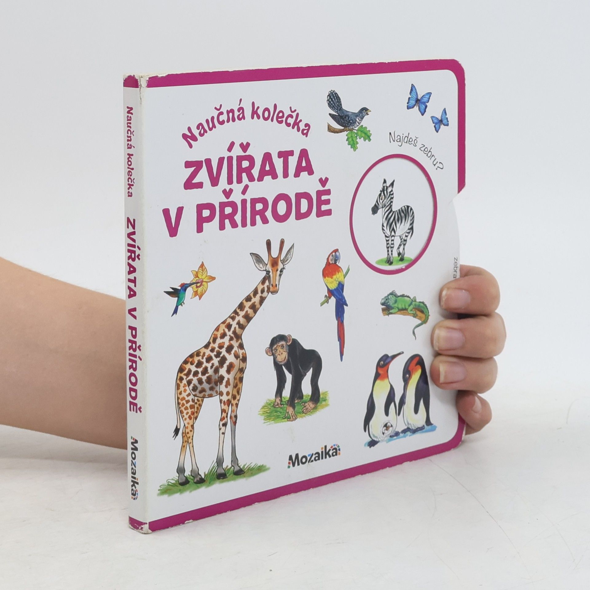 Naučná kolečka: Zvířata v přírodě