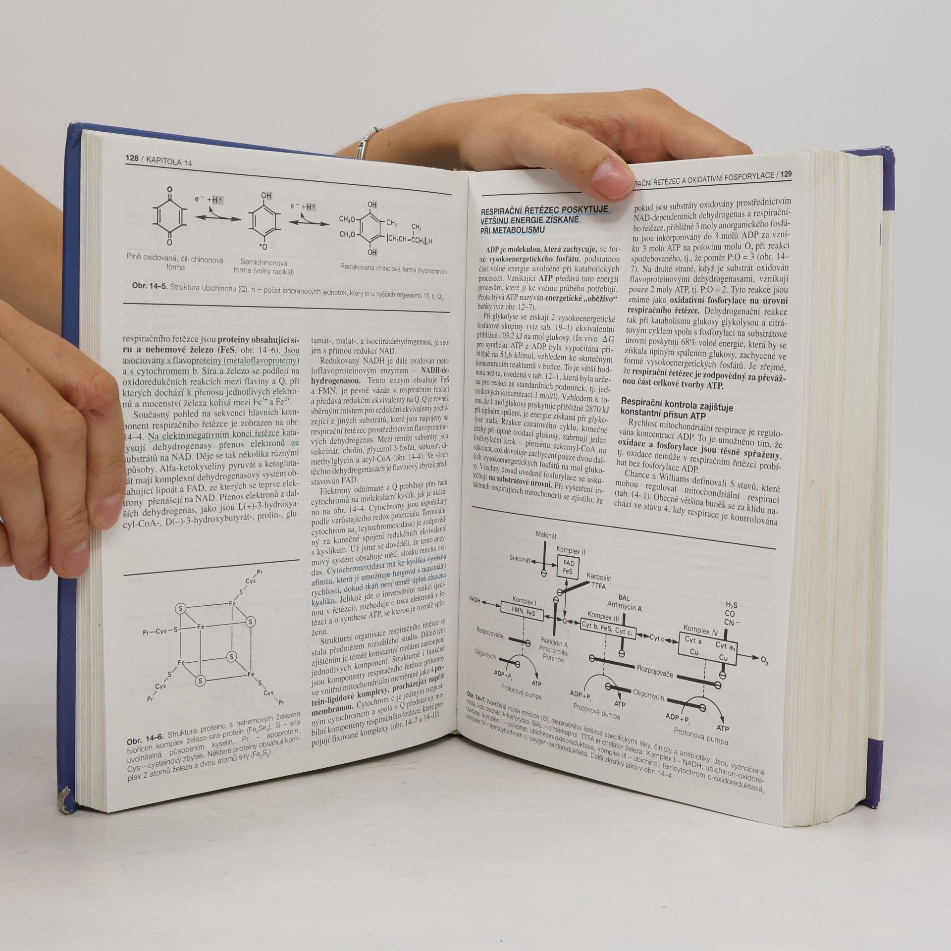 Robert Kincaid Murray Harperova biochemie