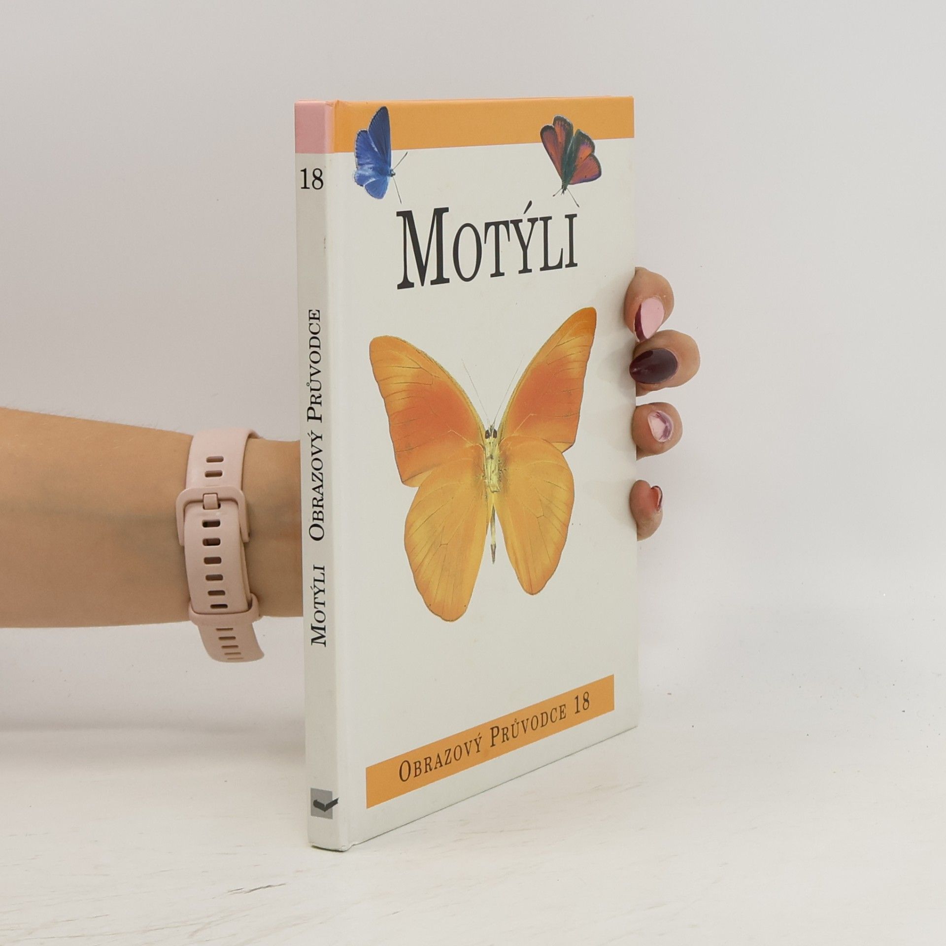 Antonín Kůrka Motýli