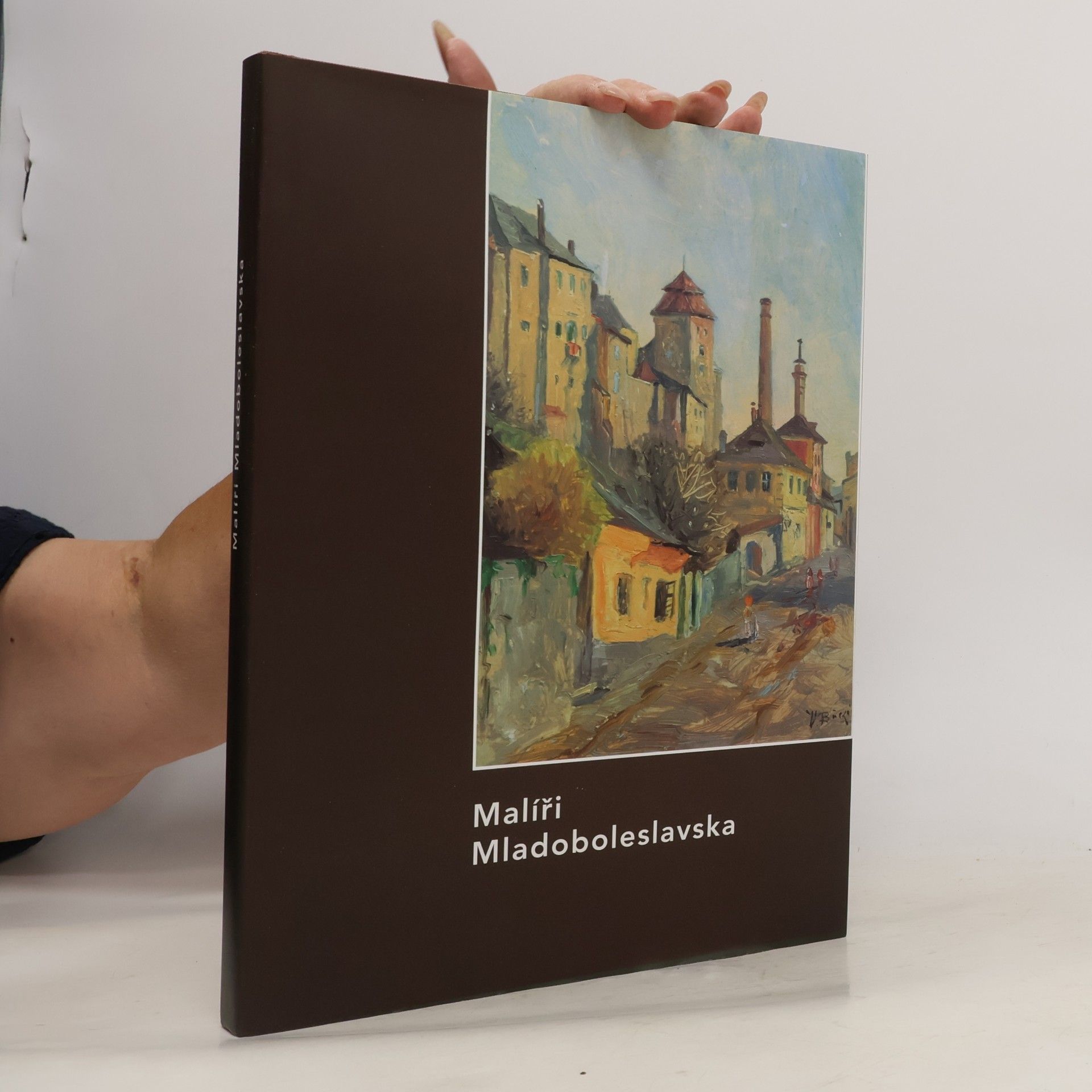 Malíři Mladoboleslavska