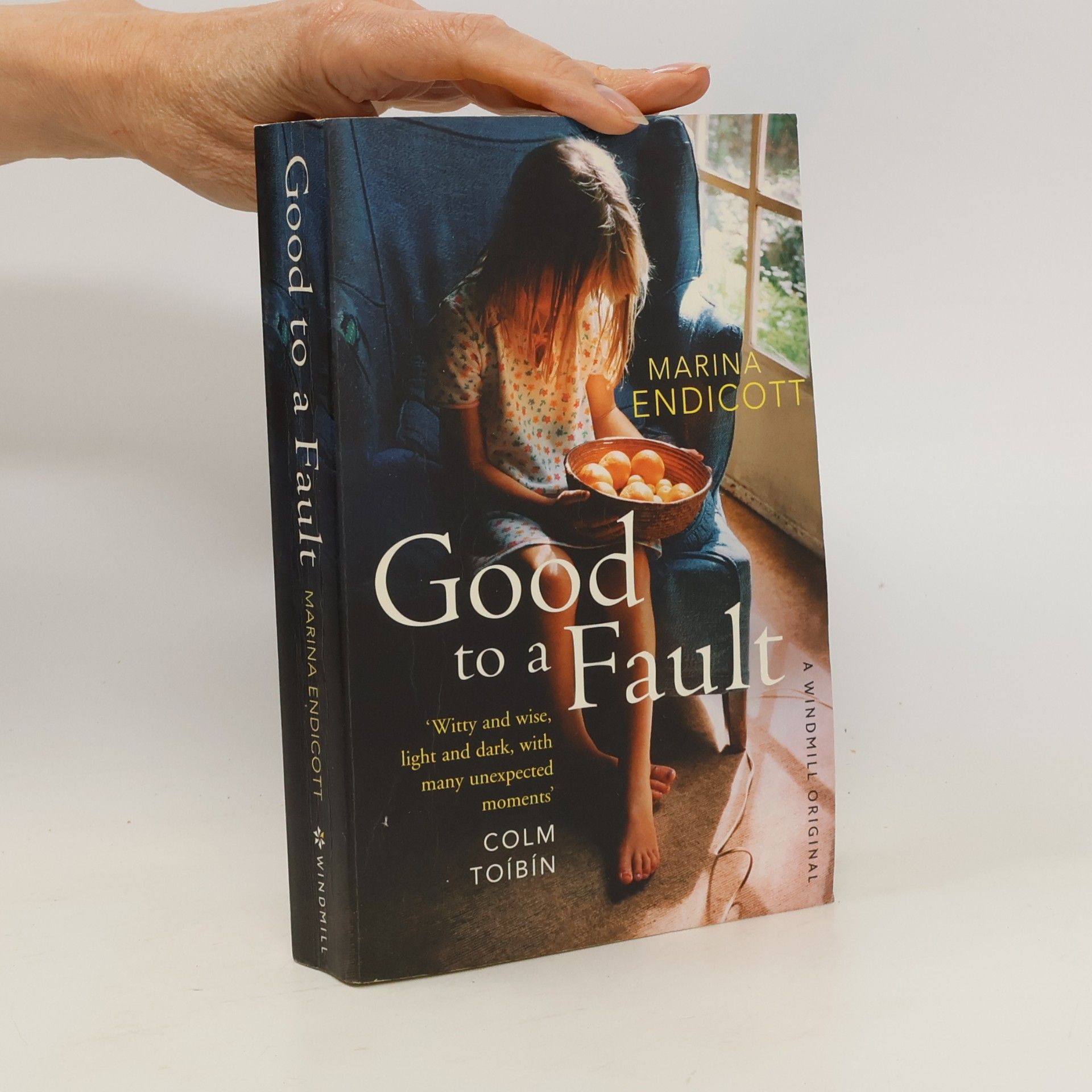 Marina Endicott Good to a Fault