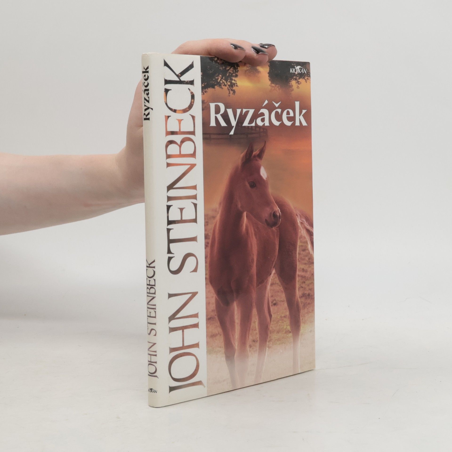 Ryzáček