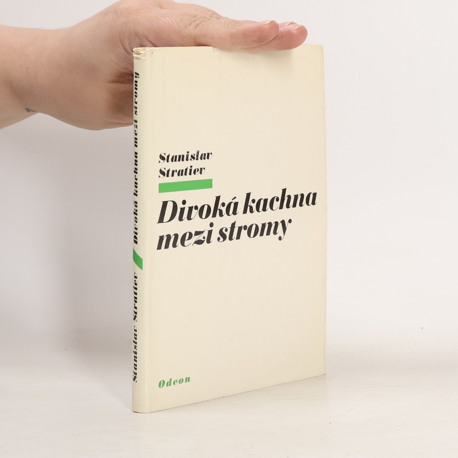 Stanislav Stratiev Divoká kachna mezi stromy