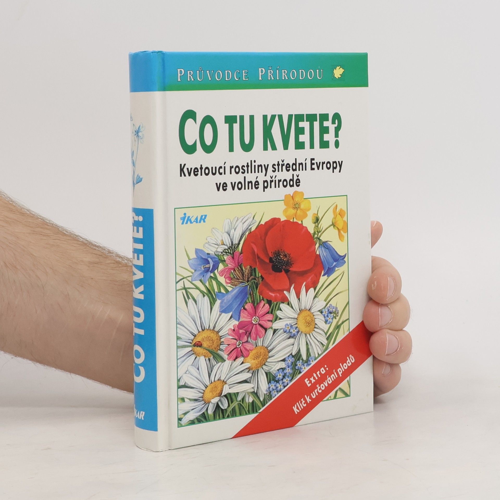 Dietmar Ernst Aichele Co tu kvete?