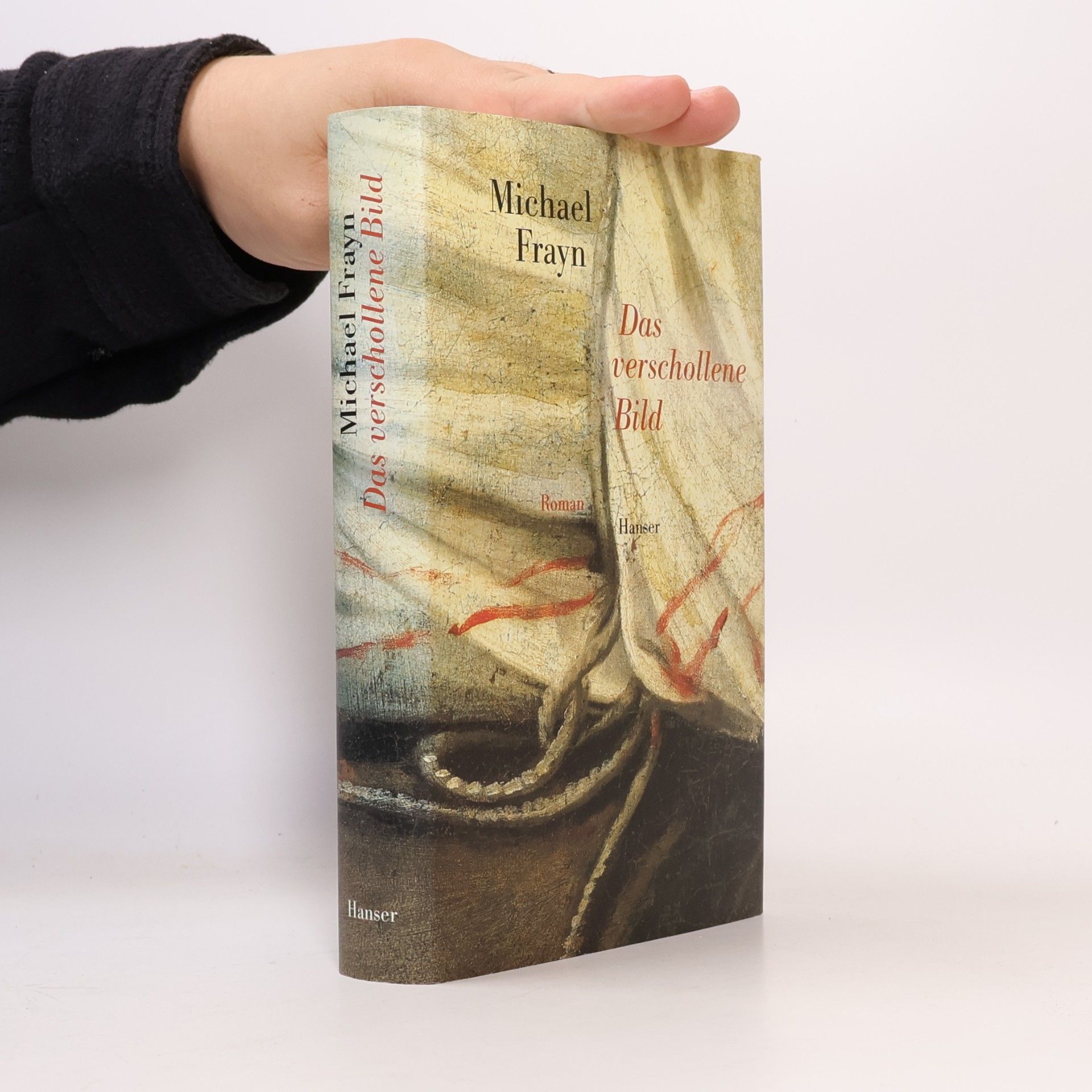 Michael Frayn Das verschollene Bild