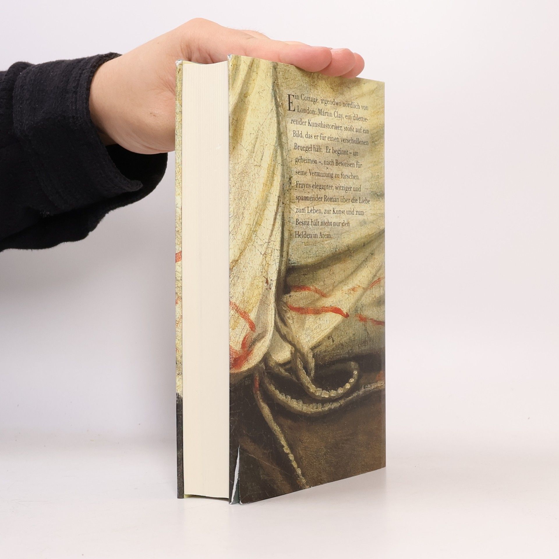 Michael Frayn Das verschollene Bild