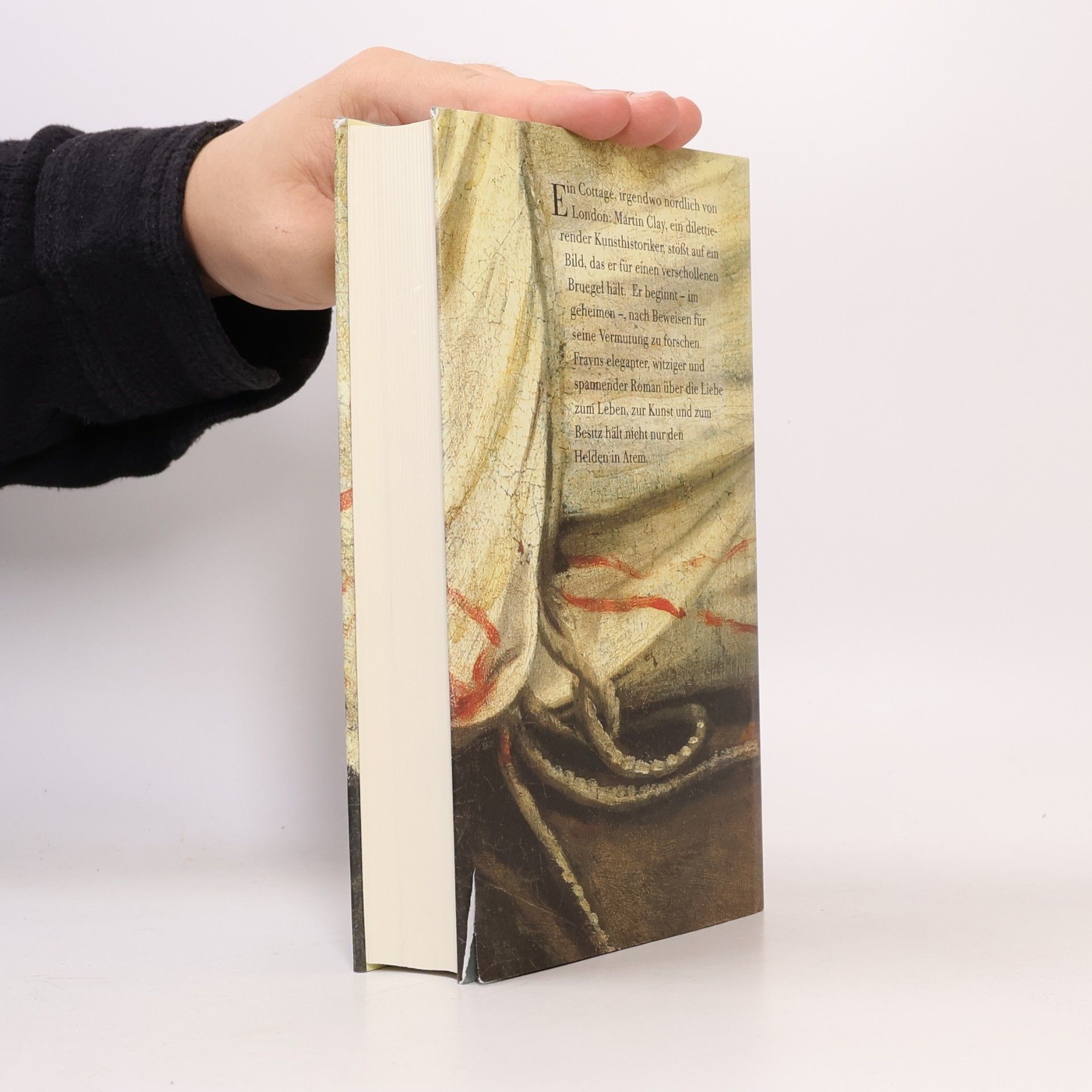 Michael Frayn Das verschollene Bild