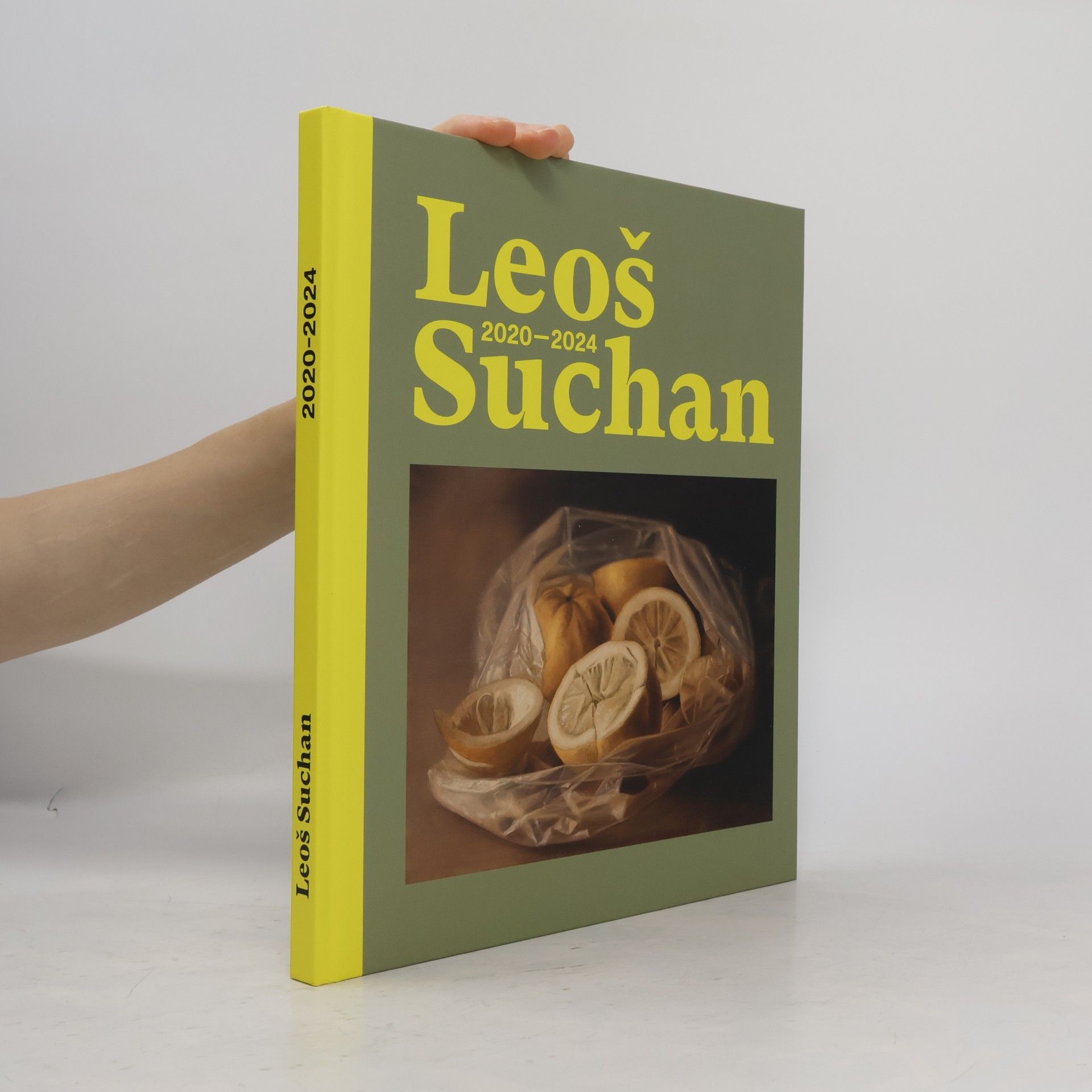Collectif d'auteurs Leoš Suchan 2020-2024