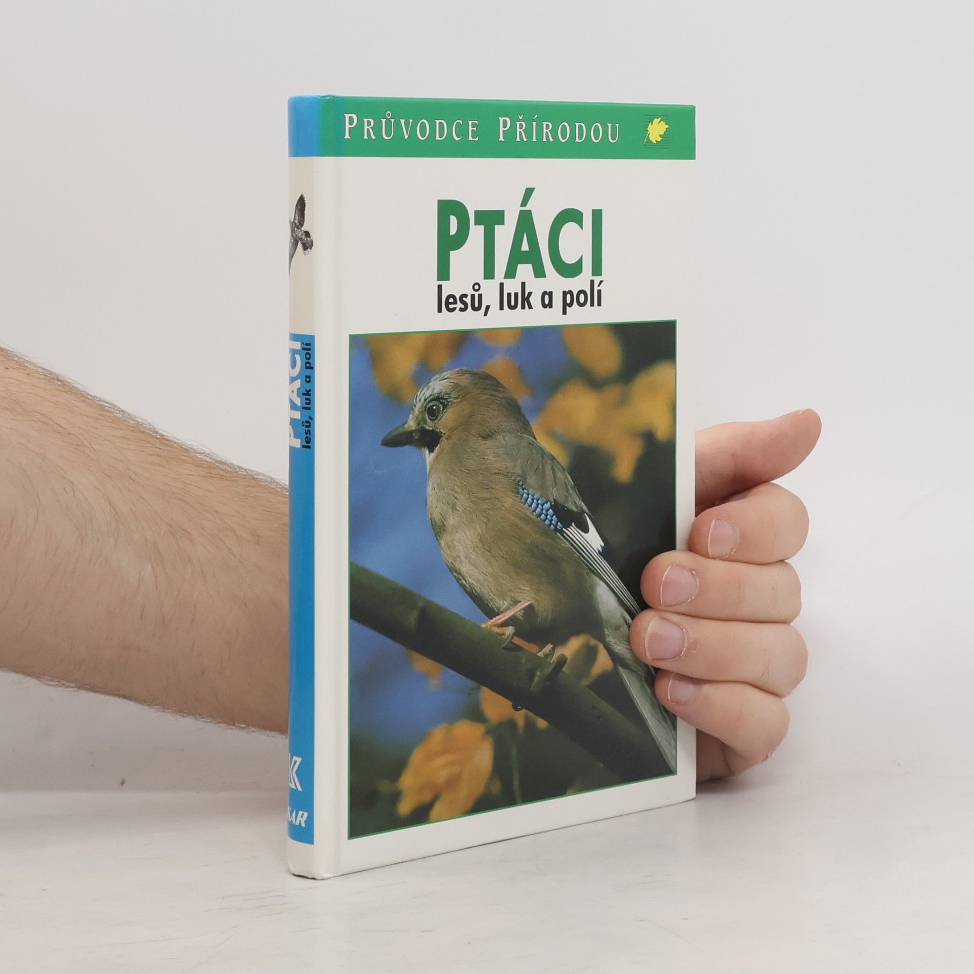 Frieder Sauer Ptáci lesů, luk a polí