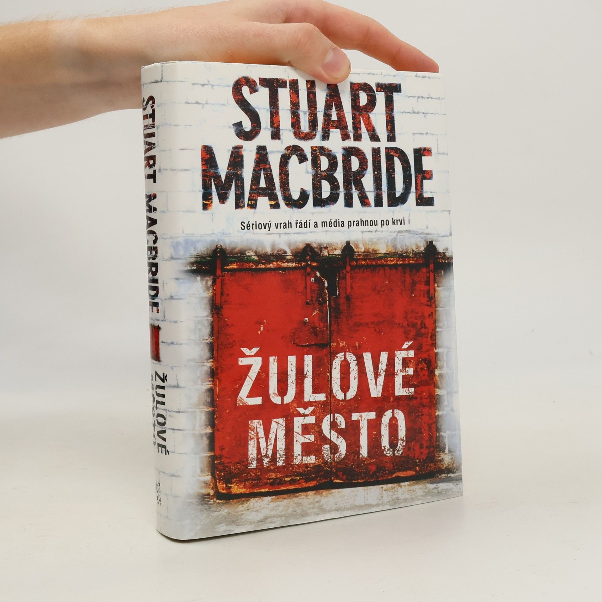 Stuart Macbride Žulové město
