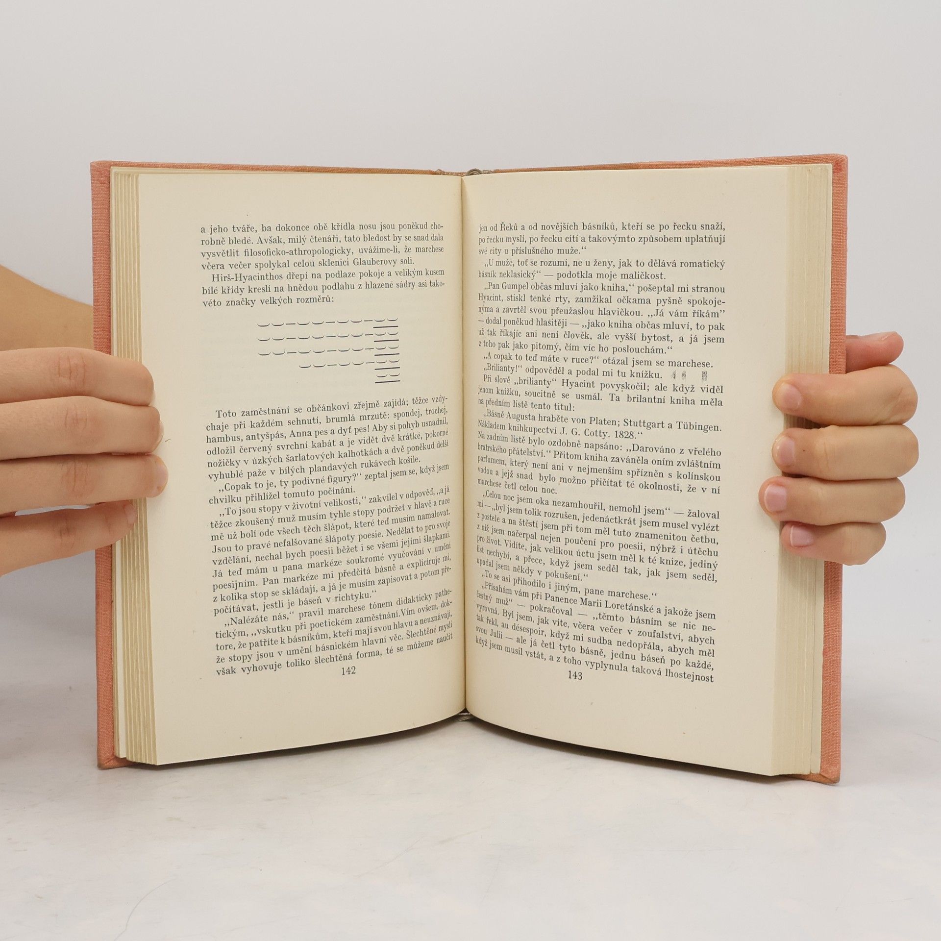 Heinrich Heine Obrazy z cest II