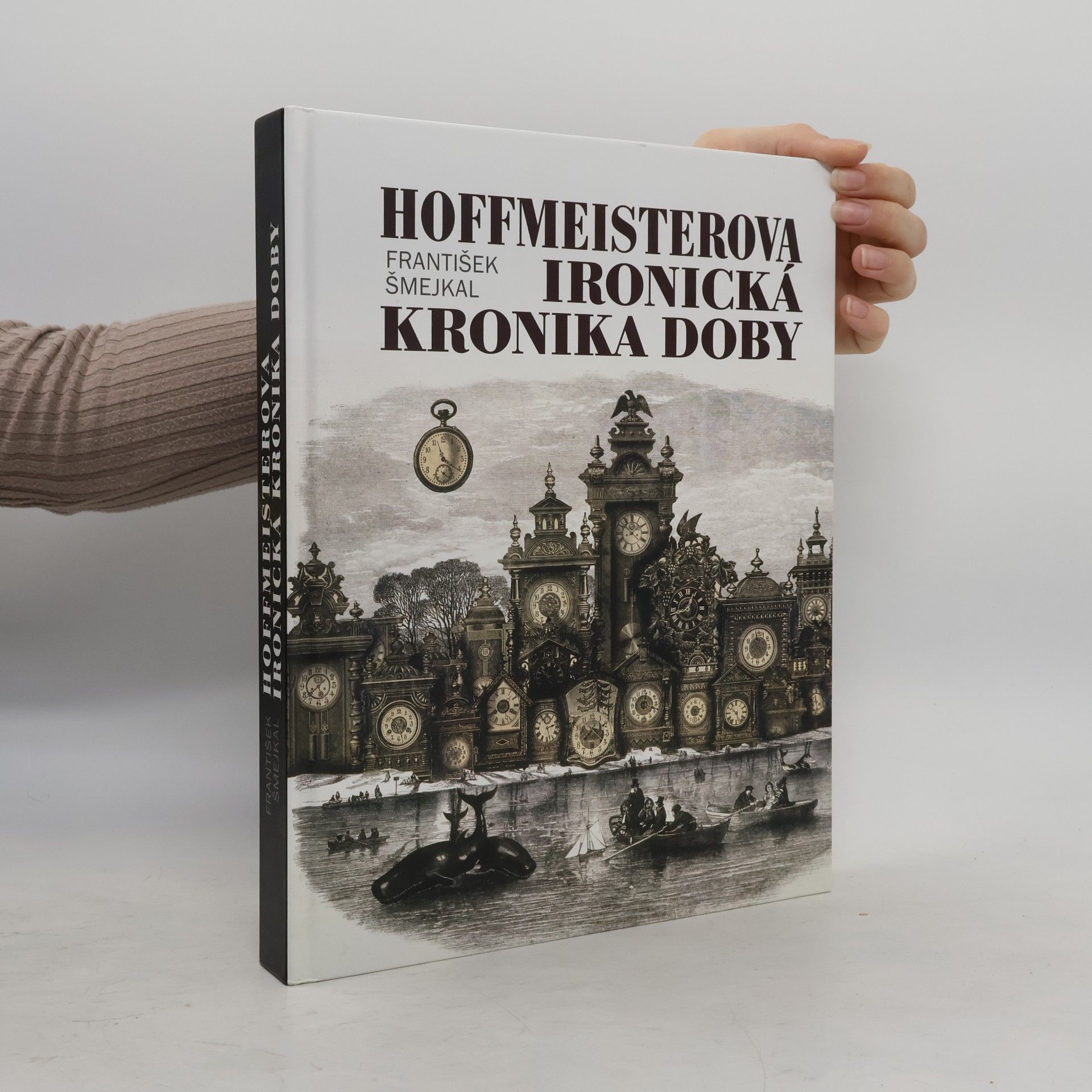 Hoffmeisterova ironická kronika doby