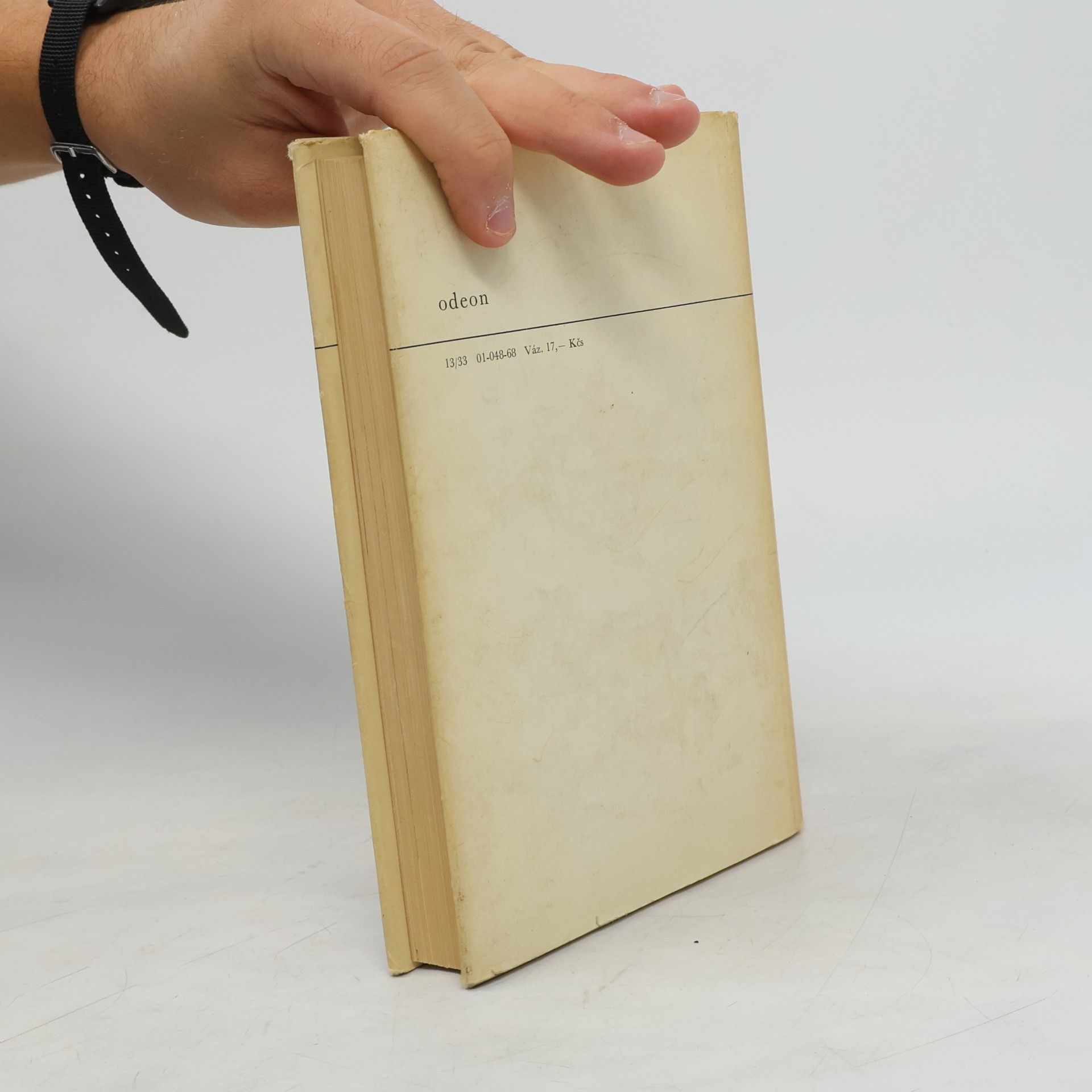 Miroslav Míčko Malíř svého lidu