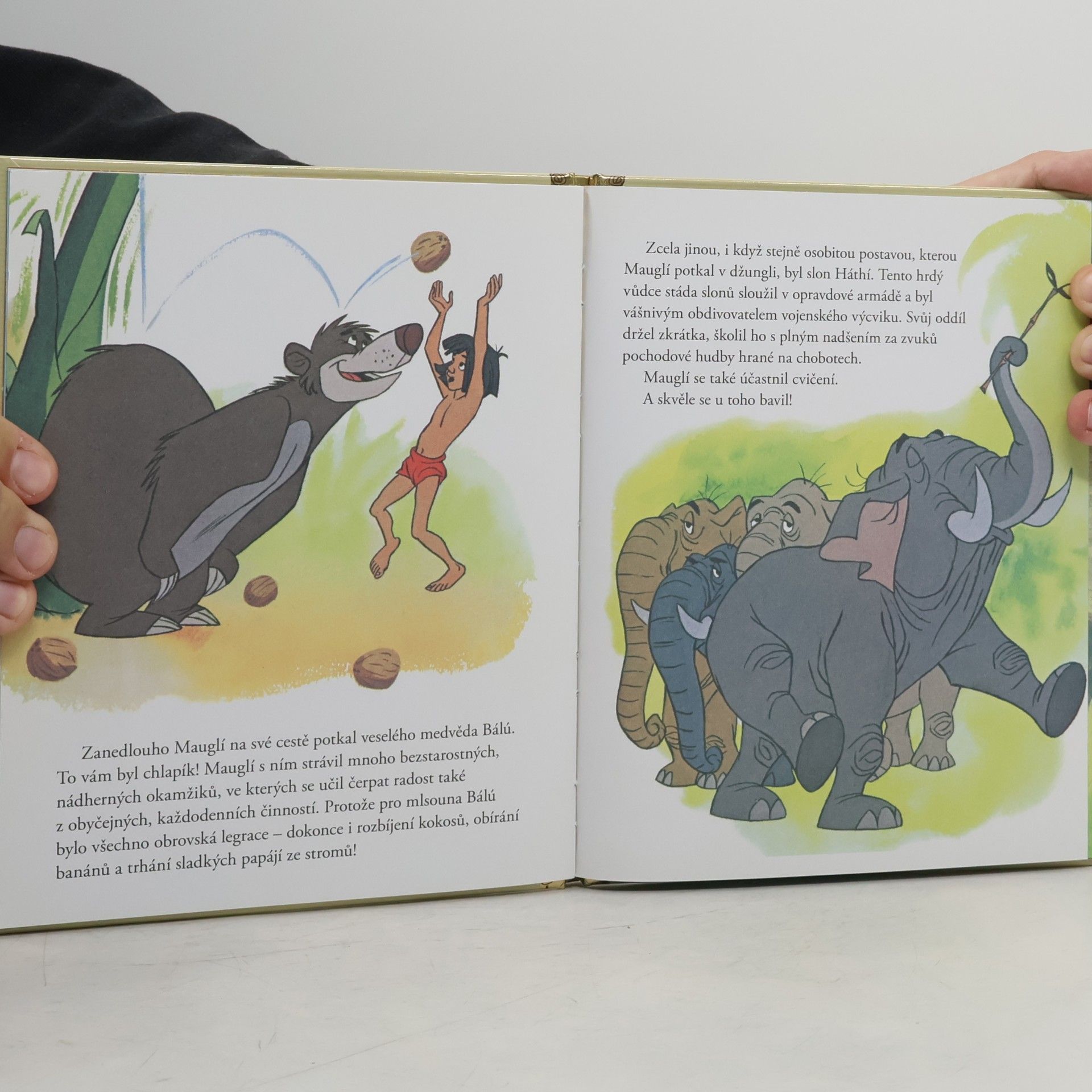 Autorenkollektiv Zlatá sbírka pohádek 3. Kniha džunglí
