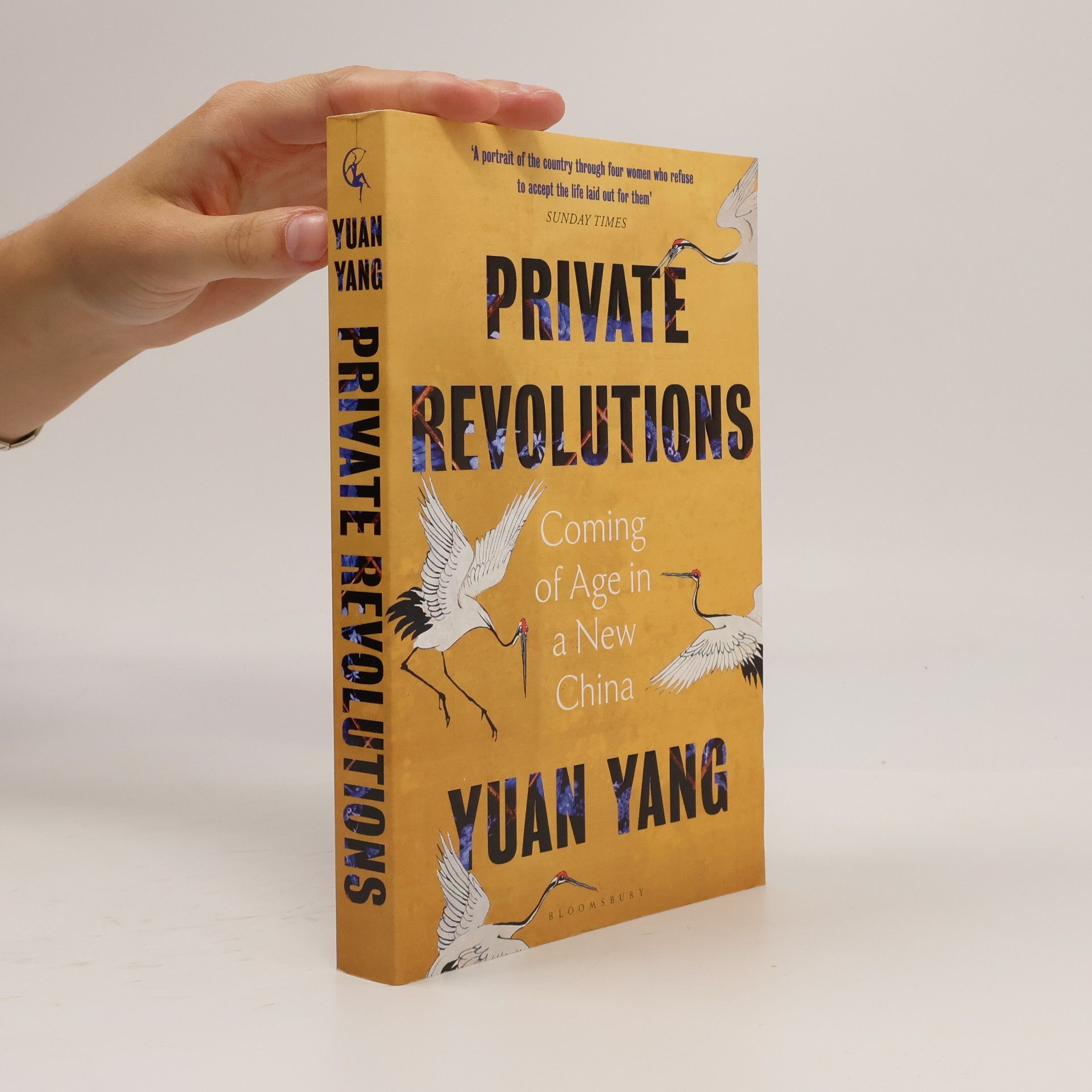 Lingling Yang Private Revolutions