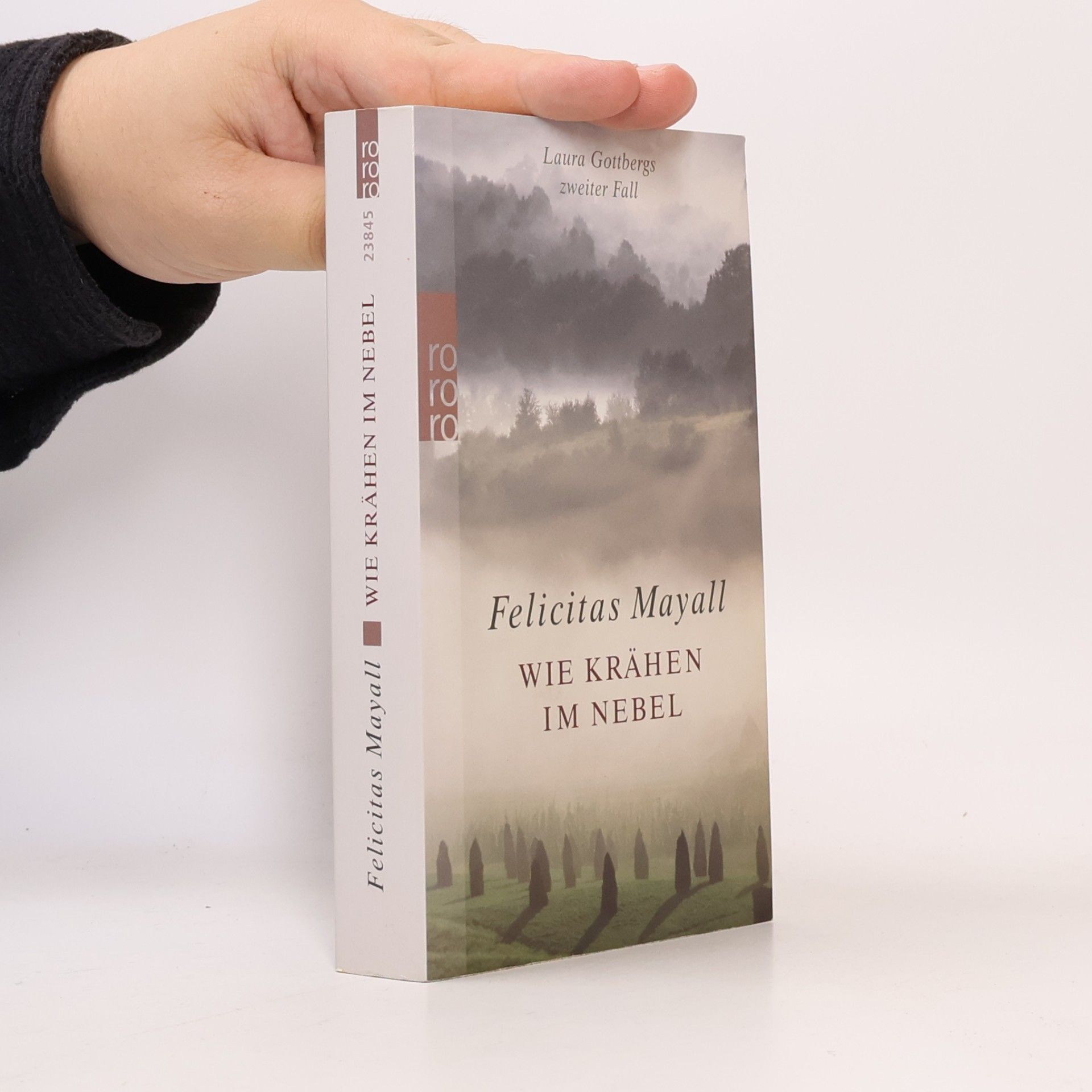 Felicitas Mayall Wie Krähen im Nebel