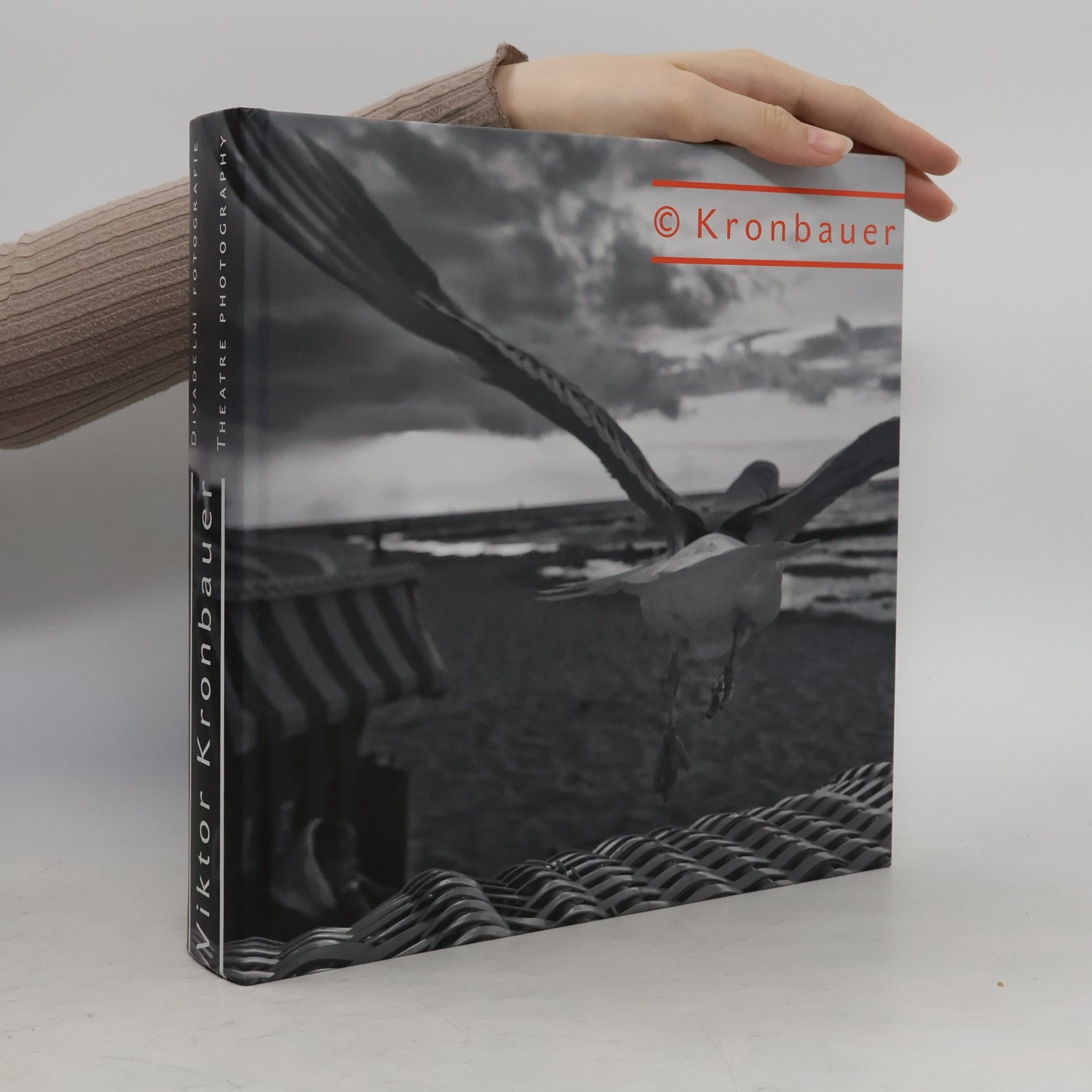 Viktor Kronbauer Viktor Kronbauer - Divadelní fotografie