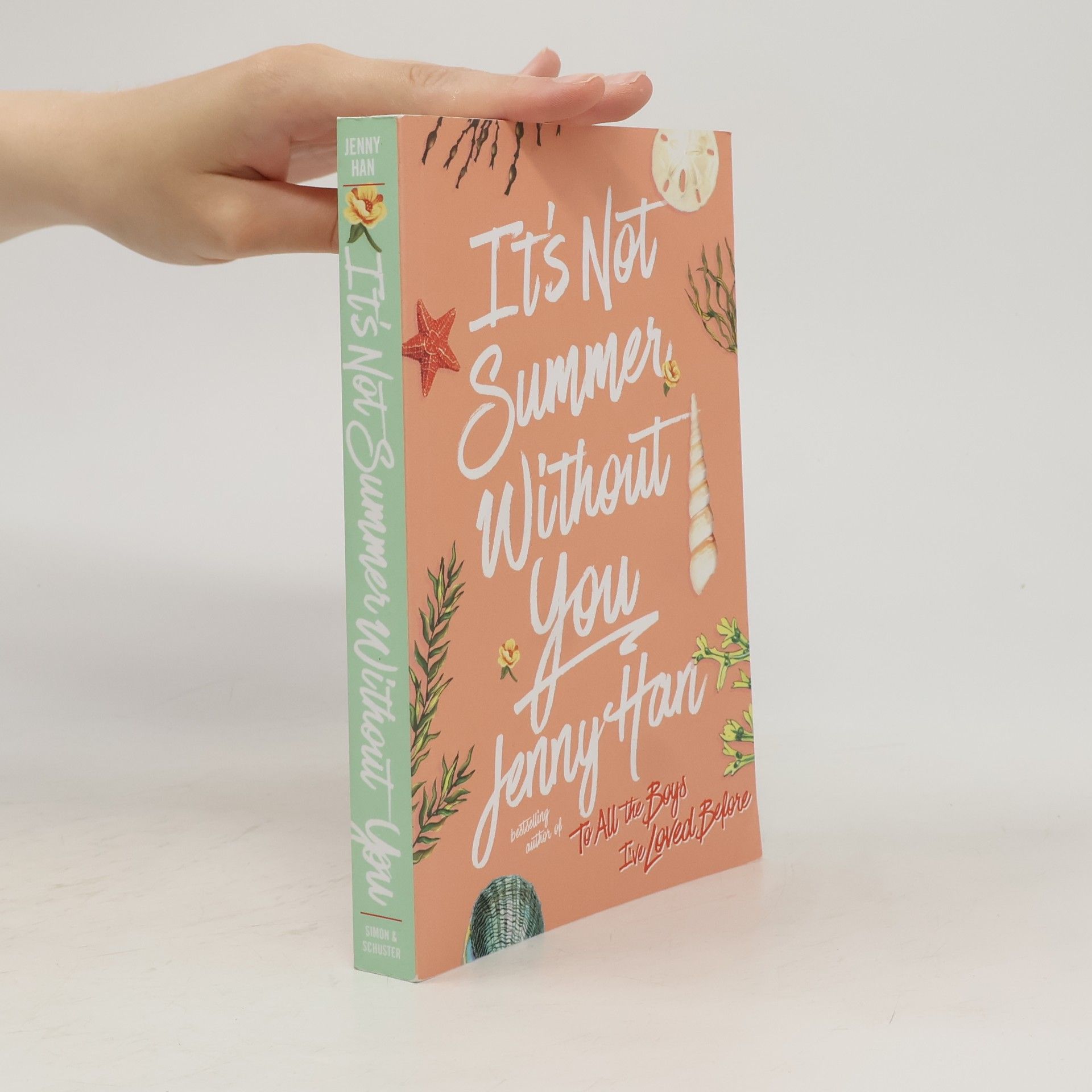 Jenny Han It's Not Summer Without You