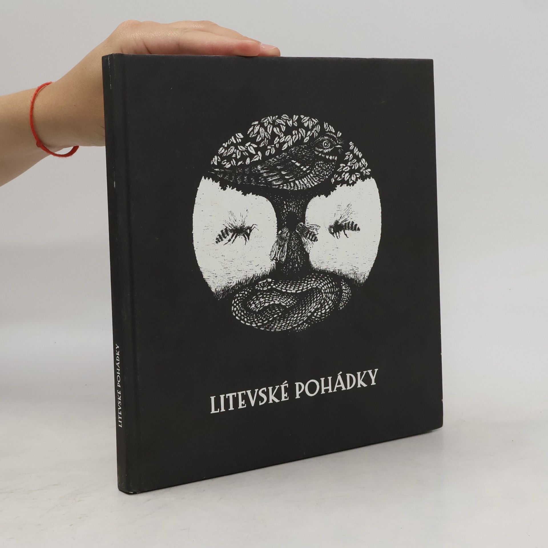 Kolektiv autorů Litevské pohádky