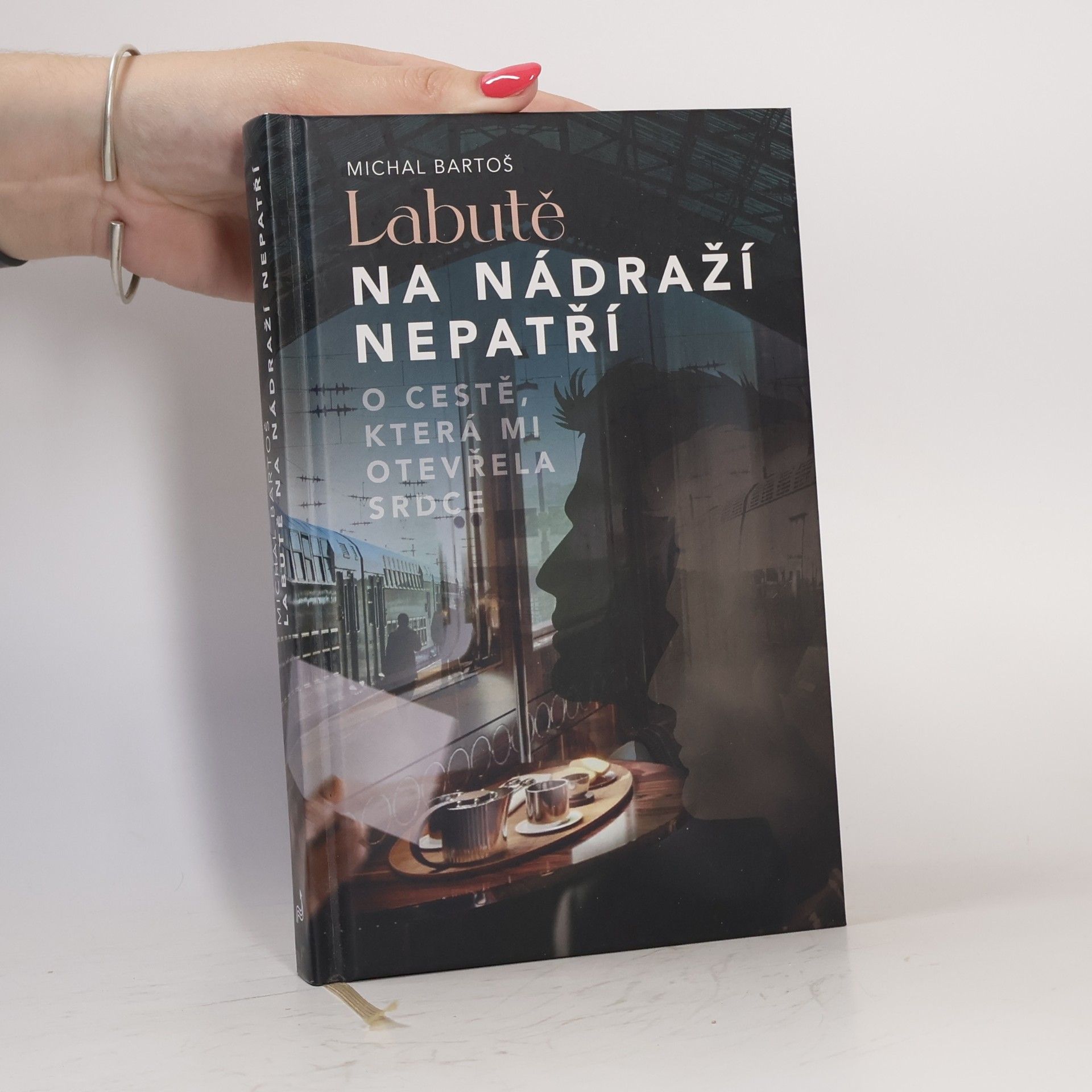 Michal Bartoš Labutě na nádraží nepatří