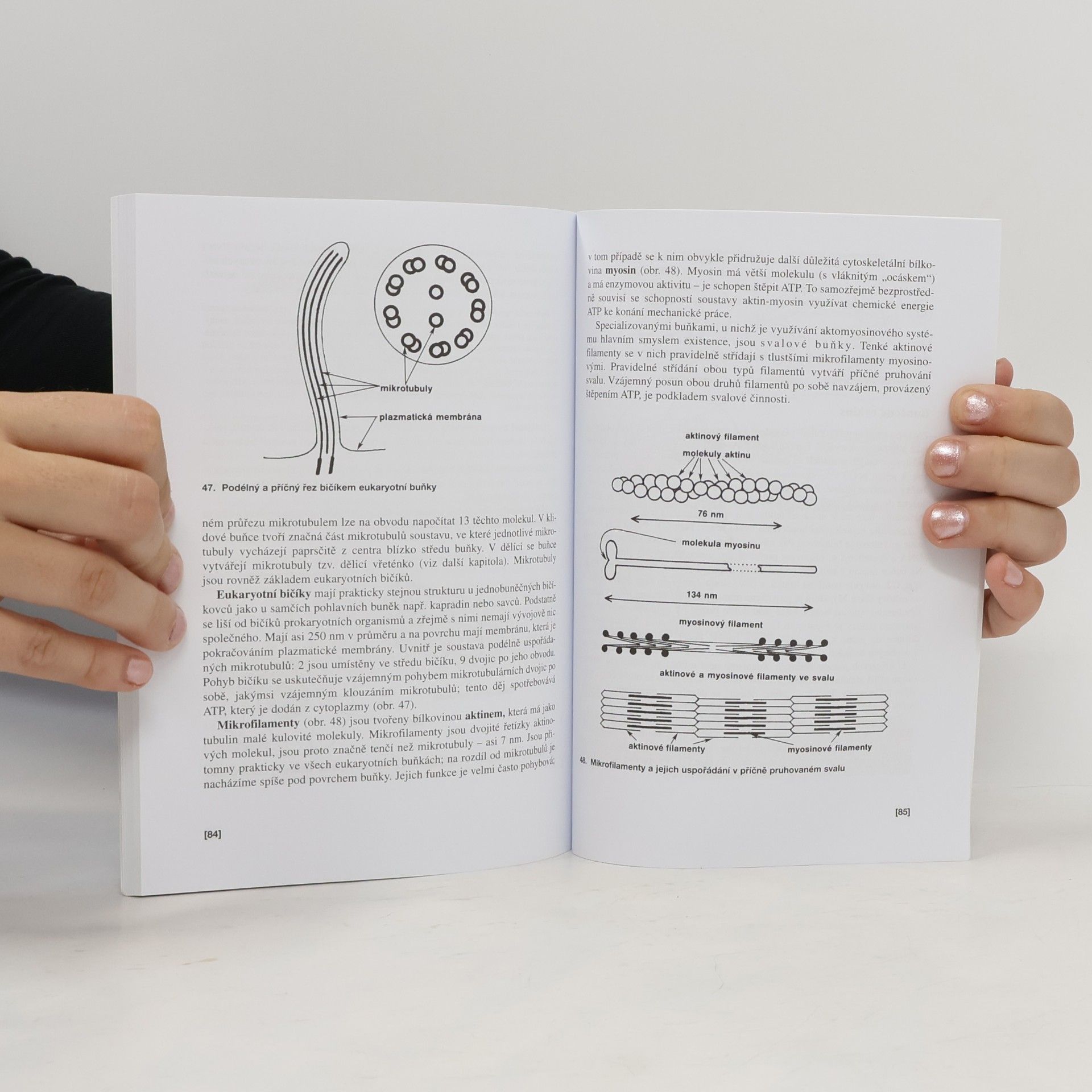 Václav Kubišta Obecná biologie. Úvodní učební text biologie pro 1. ročník gymnázií
