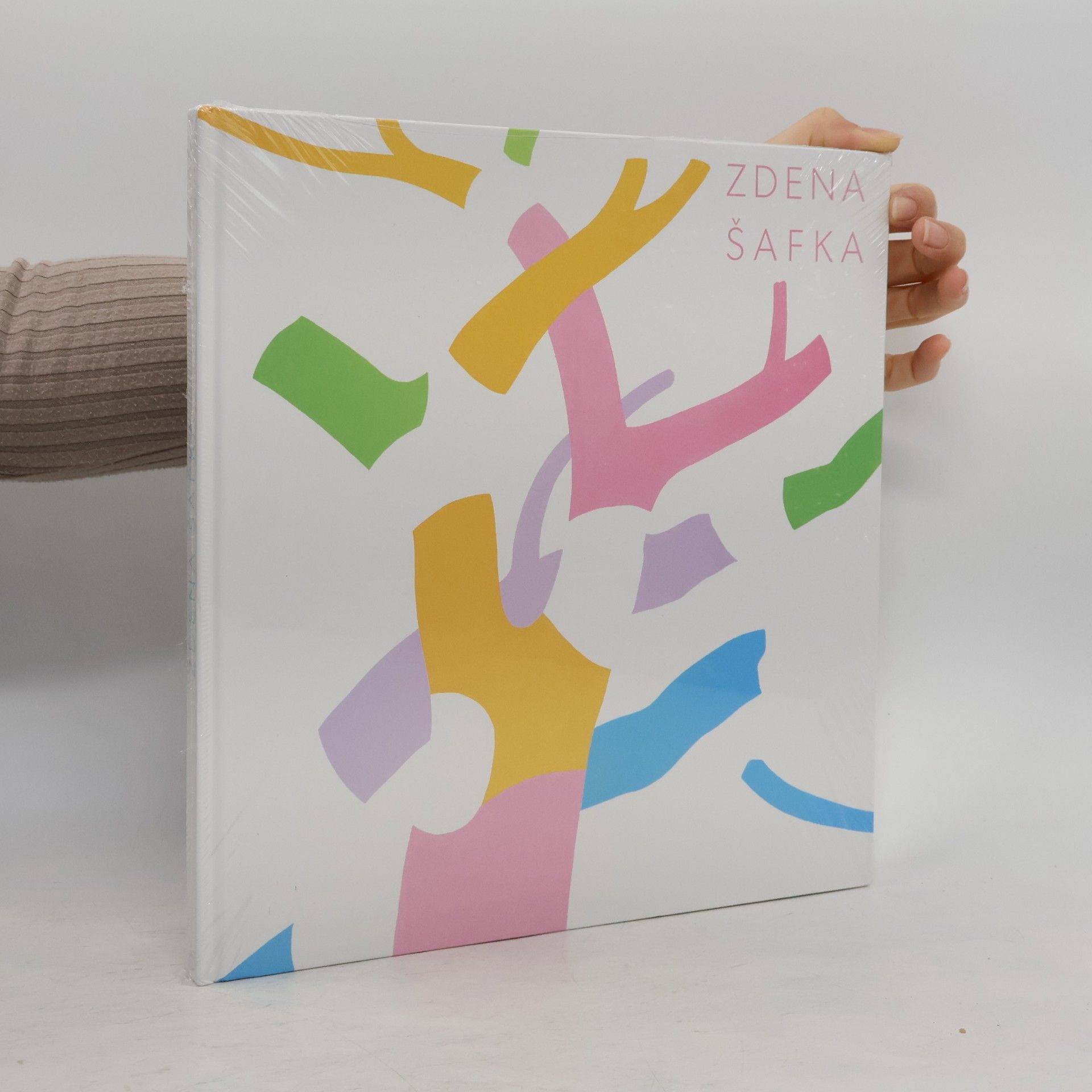 Collectif d'auteurs Zdena Šafka