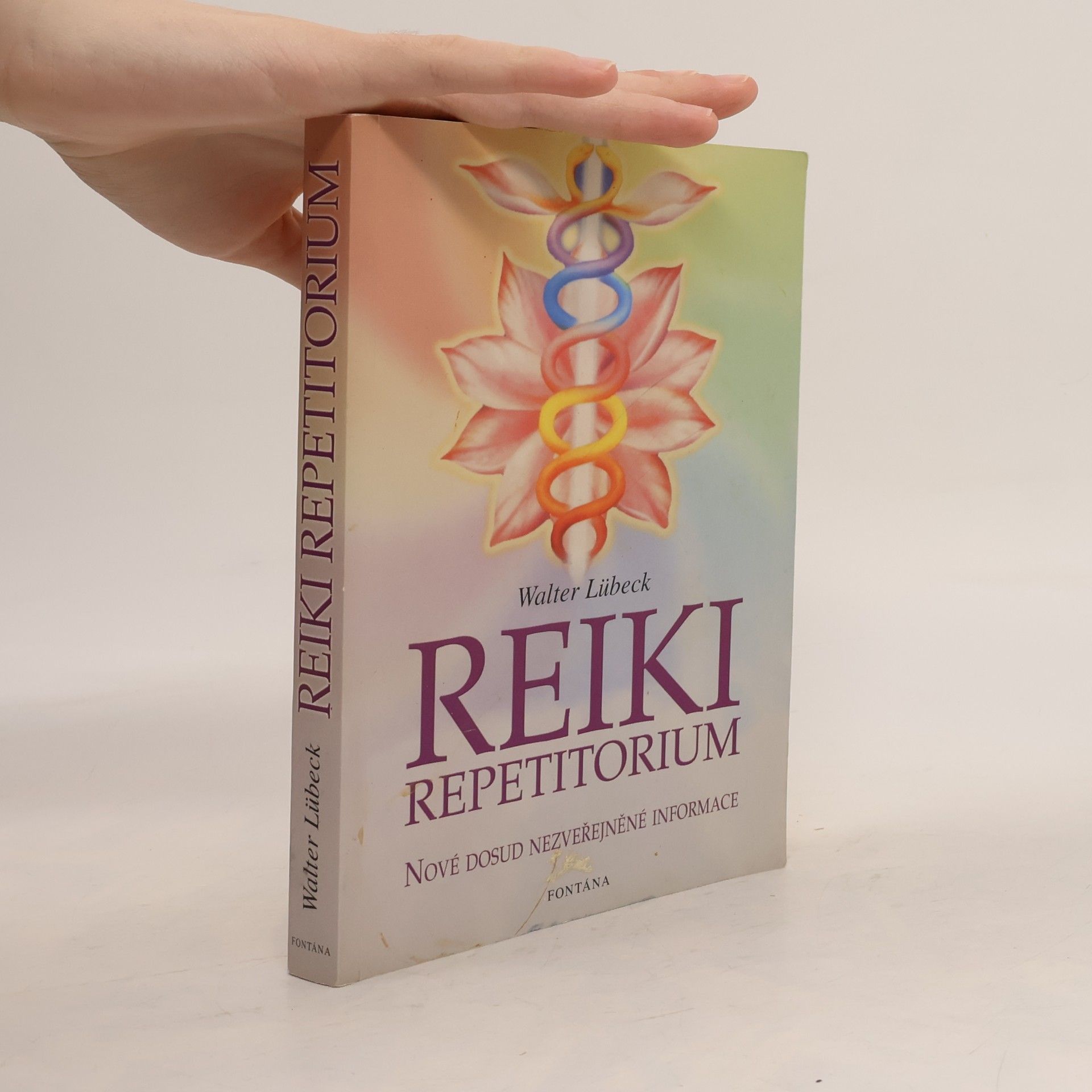 Walter Lübeck Repetitorium reiki