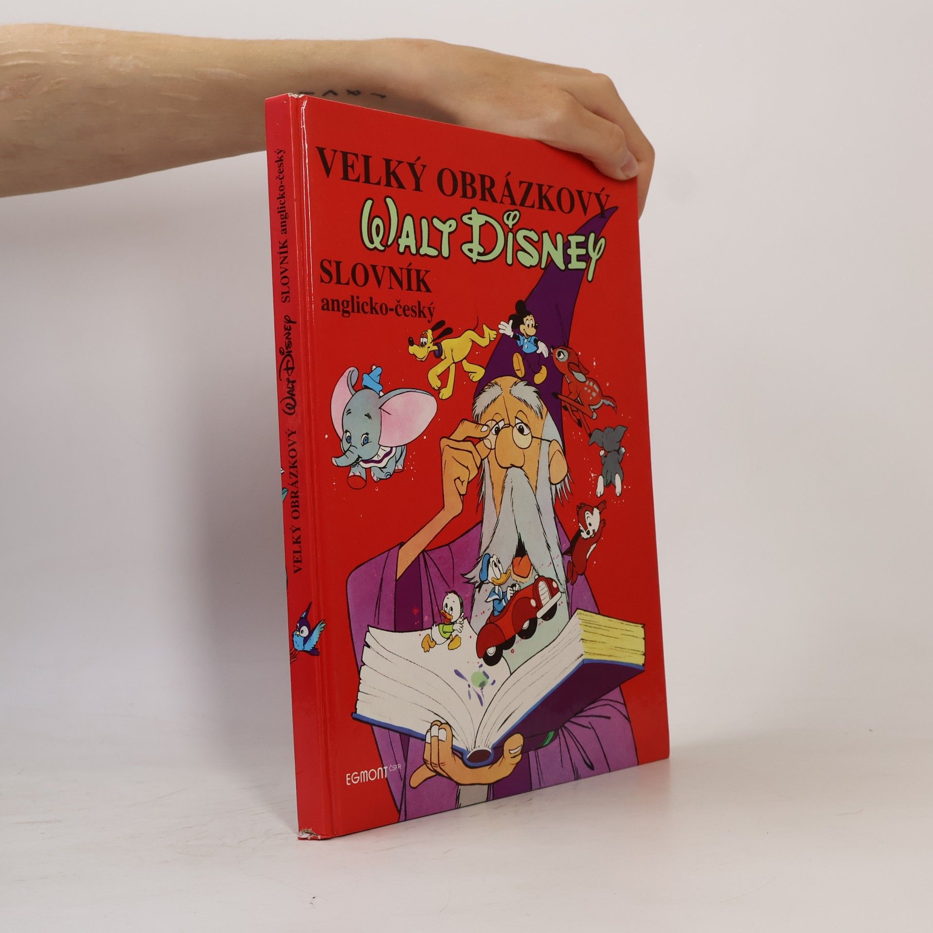 Walt Disney Velký obrázkový slovník anglicko-český