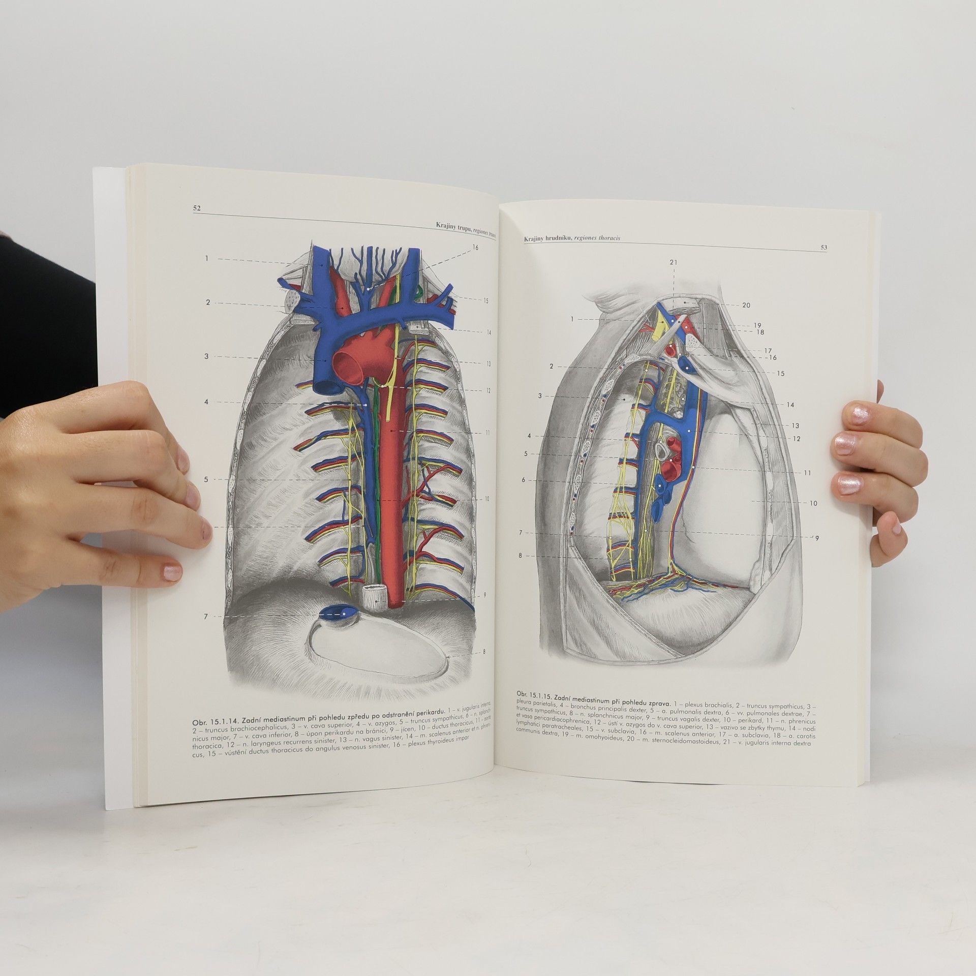 Miloš Grim Základy anatomie. 5., Anatomie krajin těla