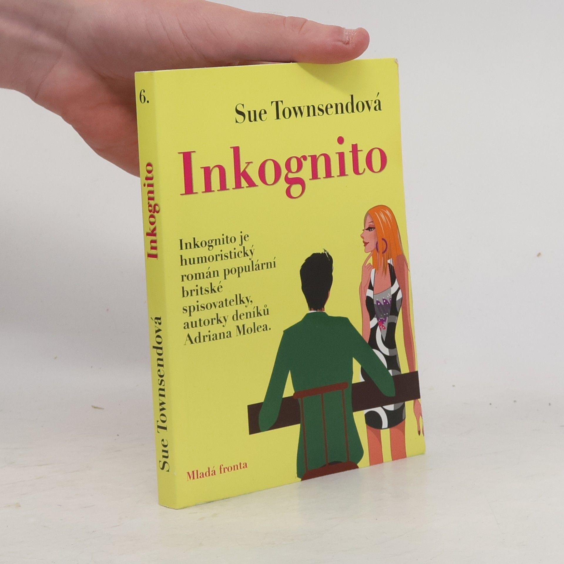 Sue Townsend Inkognito