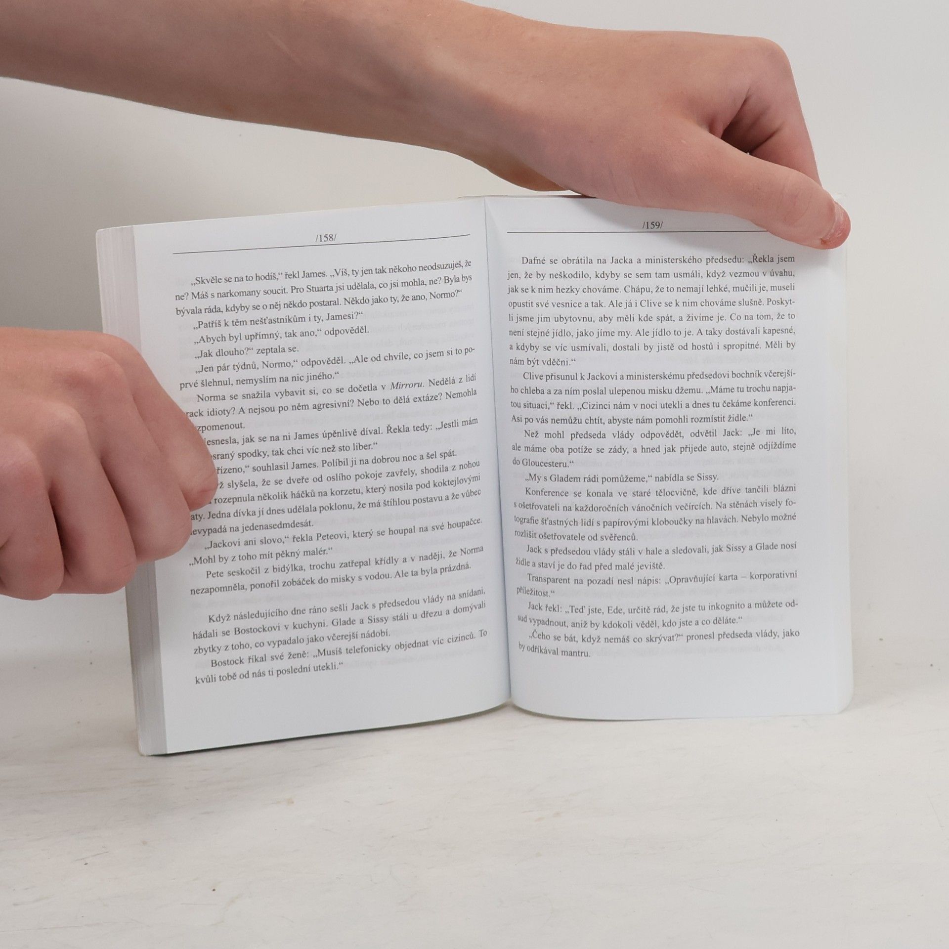 Sue Townsend Inkognito
