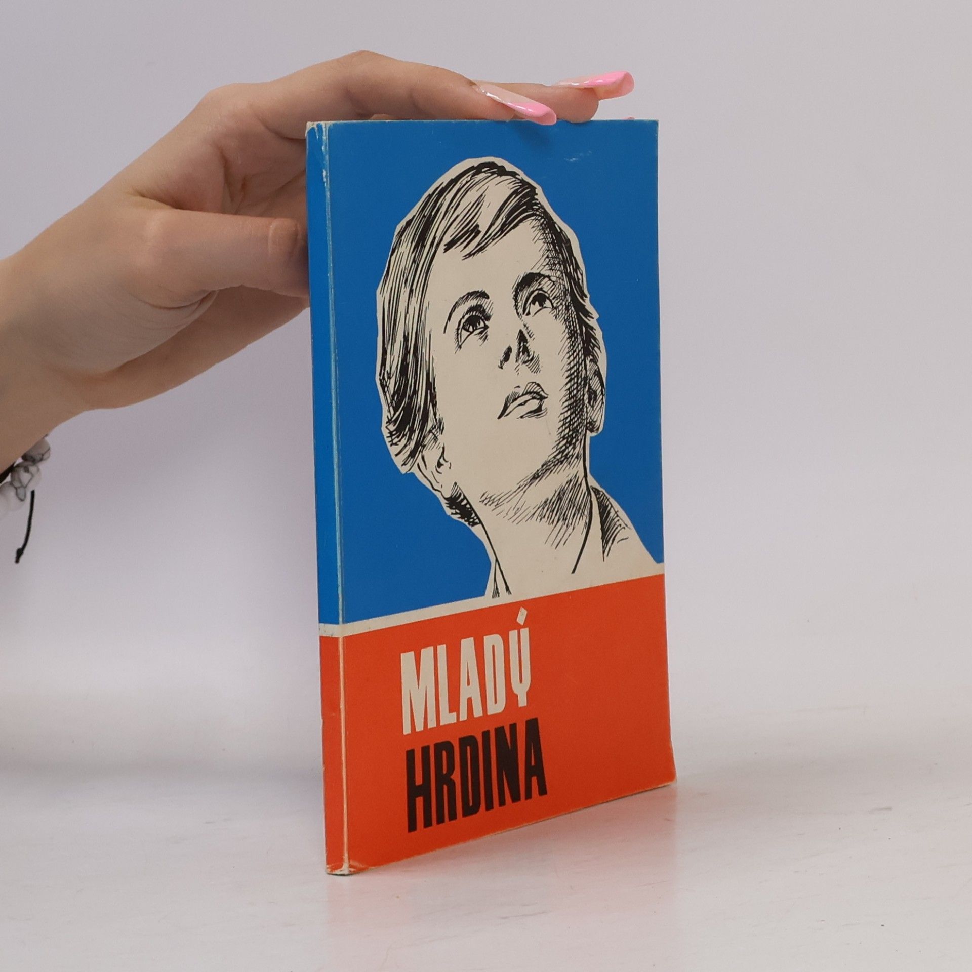 Mladý hrdina. Životopis sv. Dominika Sávia