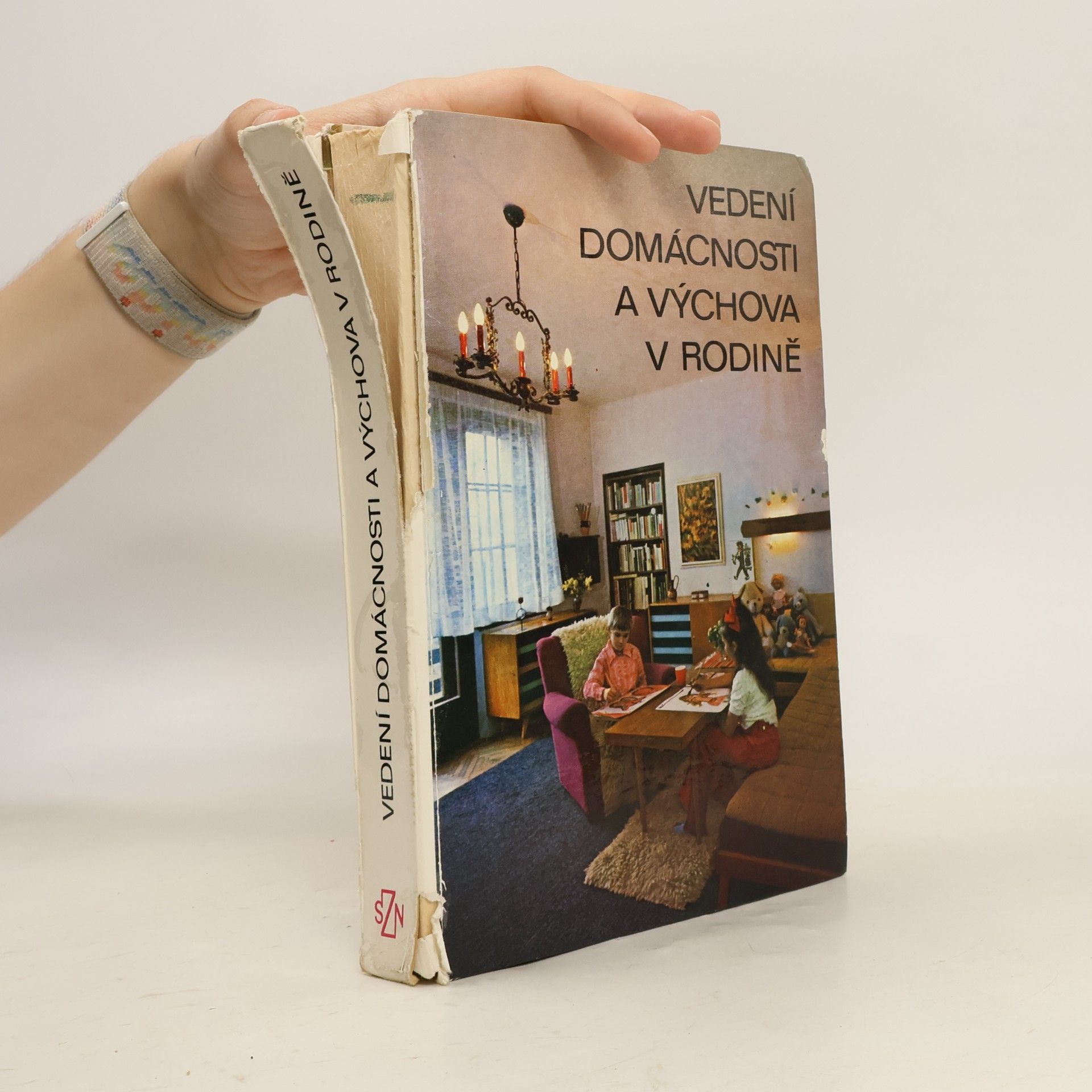 Stanislav Hejda Vedení domácnosti a výchova v rodině