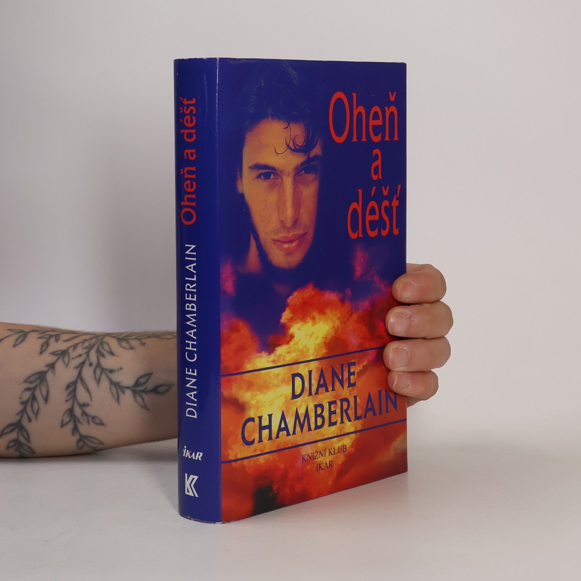 Diane Chamberlain Oheň a déšť