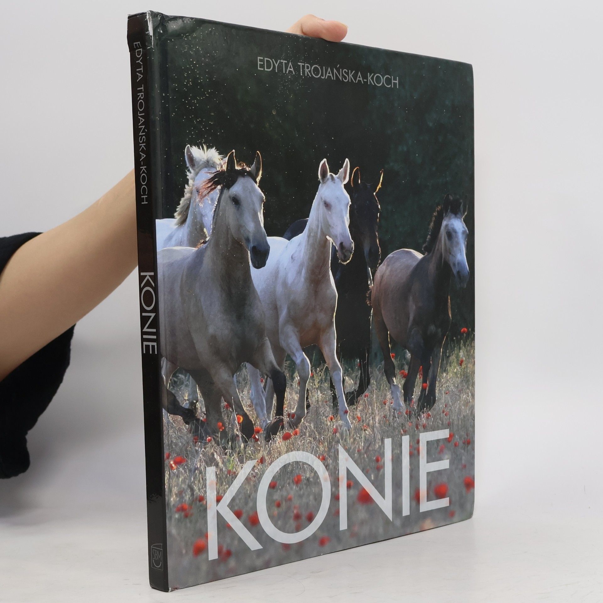 Edyta Trojańska-Koch Konie