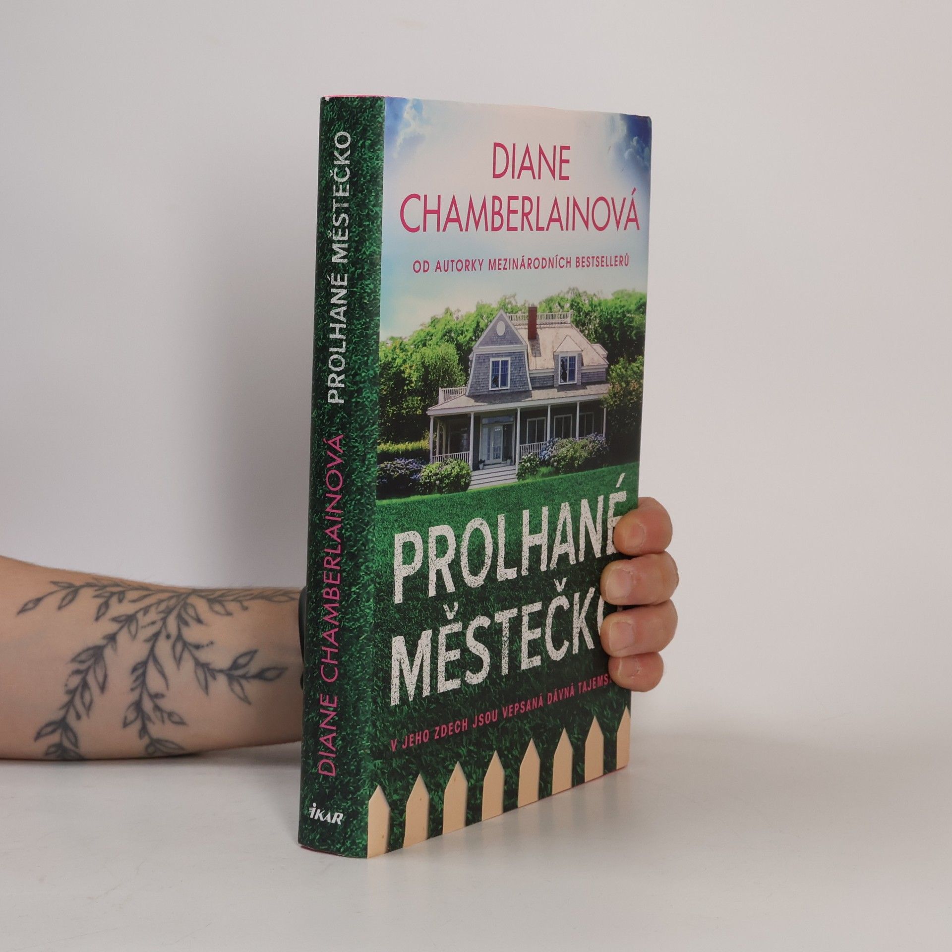 Diane Chamberlain Prolhané městečko