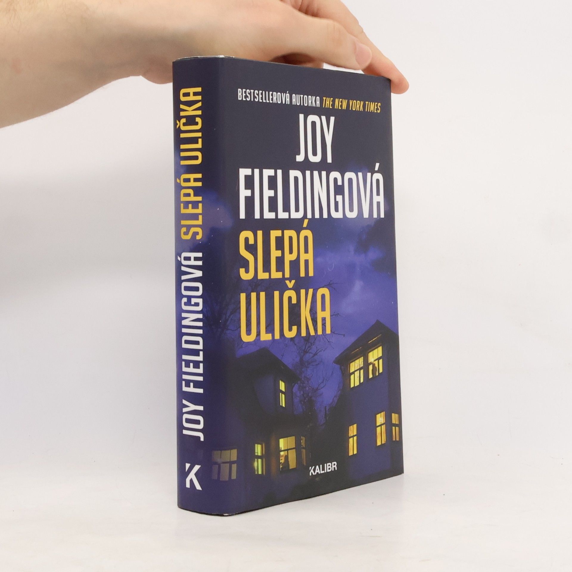 Joy Fielding Slepá ulička