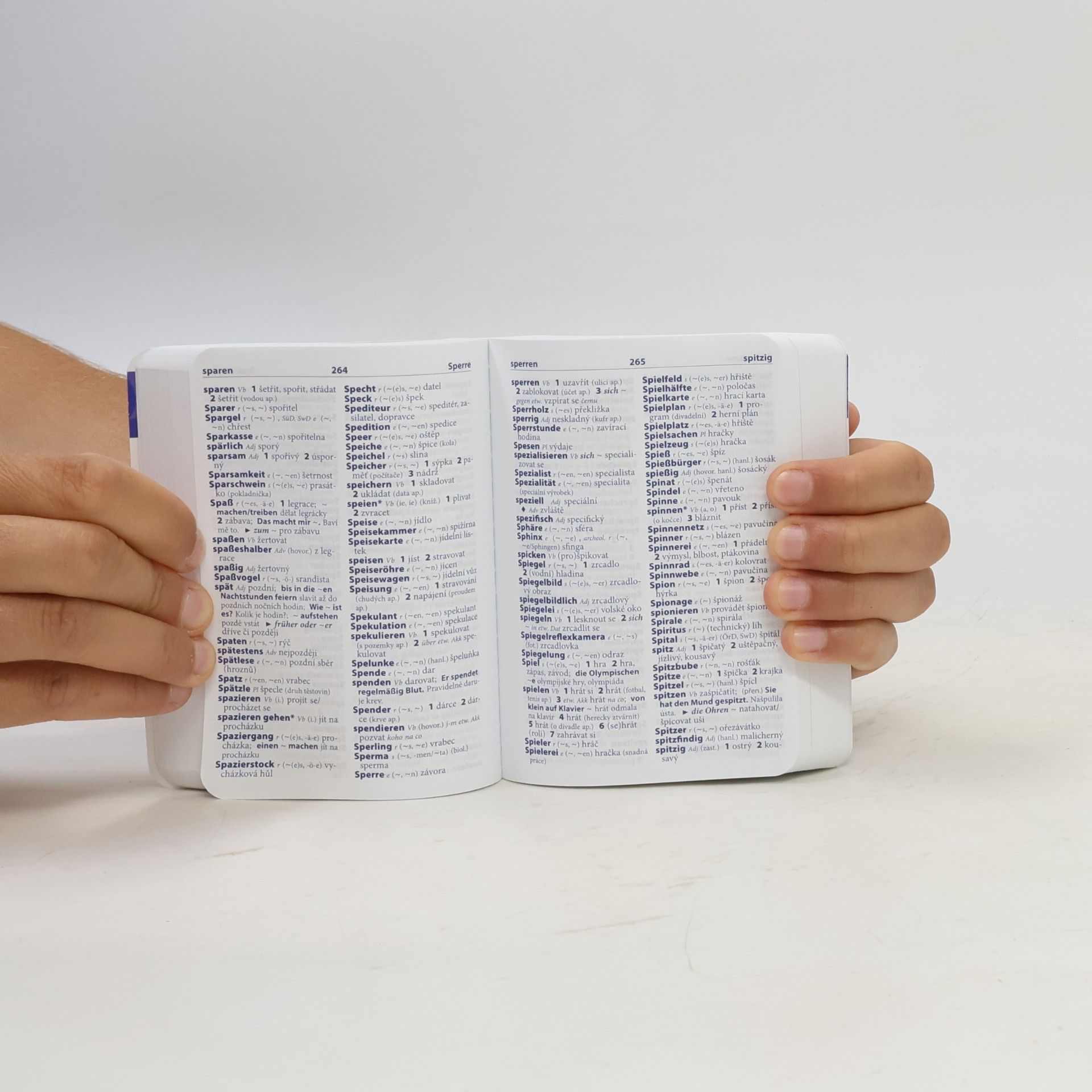 Autorenkollektiv Slovník česko - německý / Wörterbuch deutsch - tschechisch