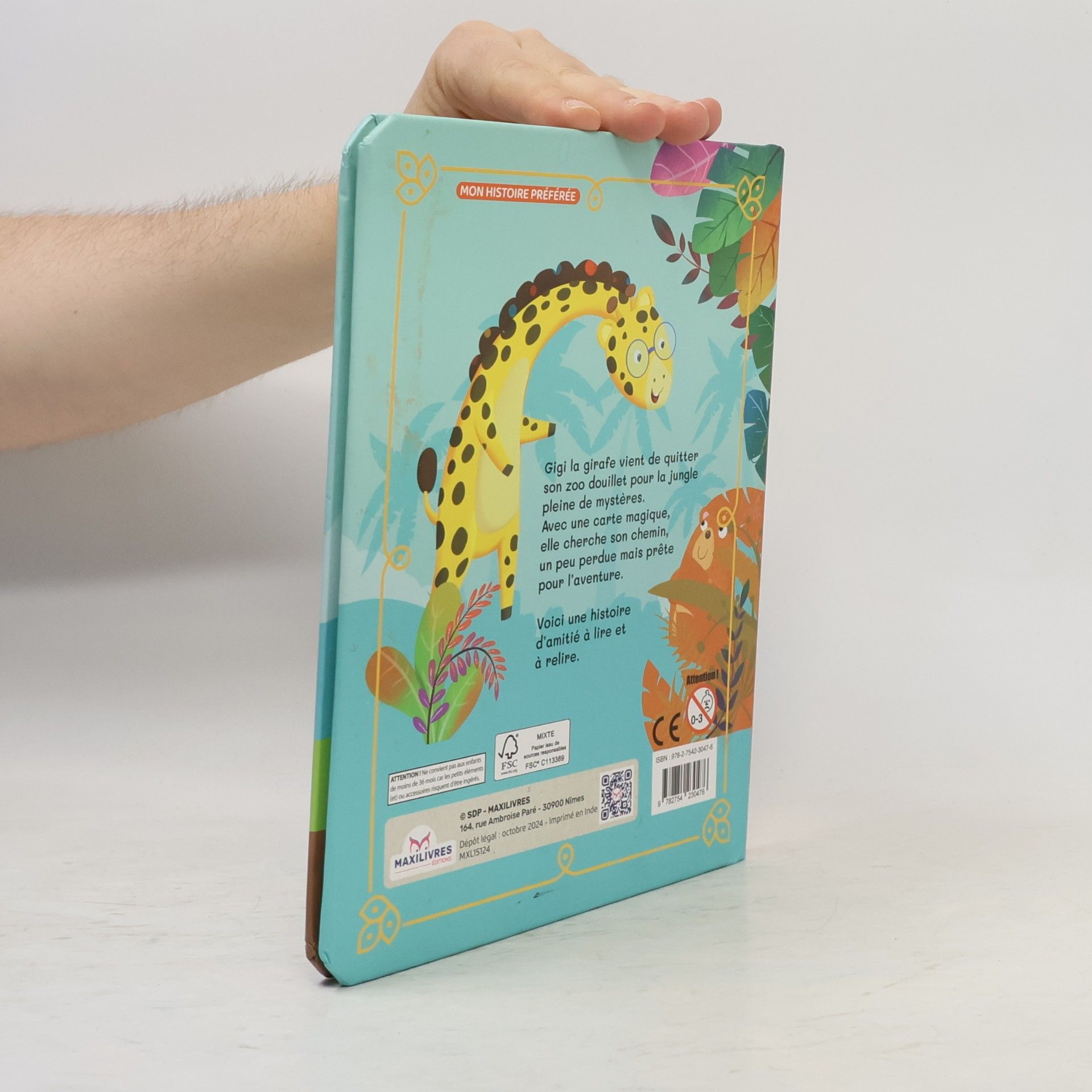 Auteurscollectief Gigi la gentille girafe