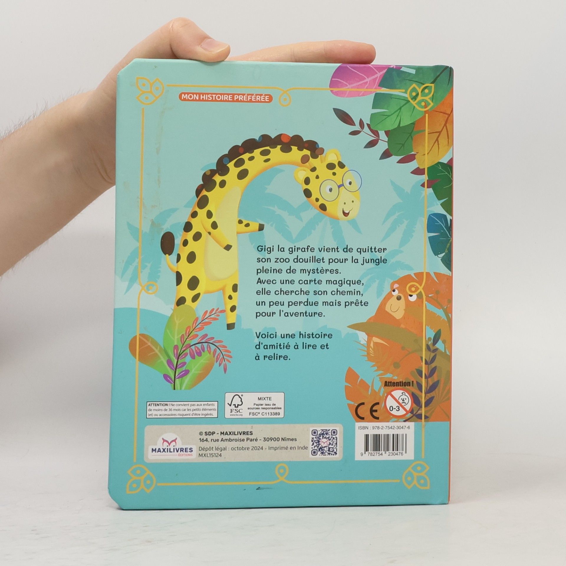 Auteurscollectief Gigi la gentille girafe
