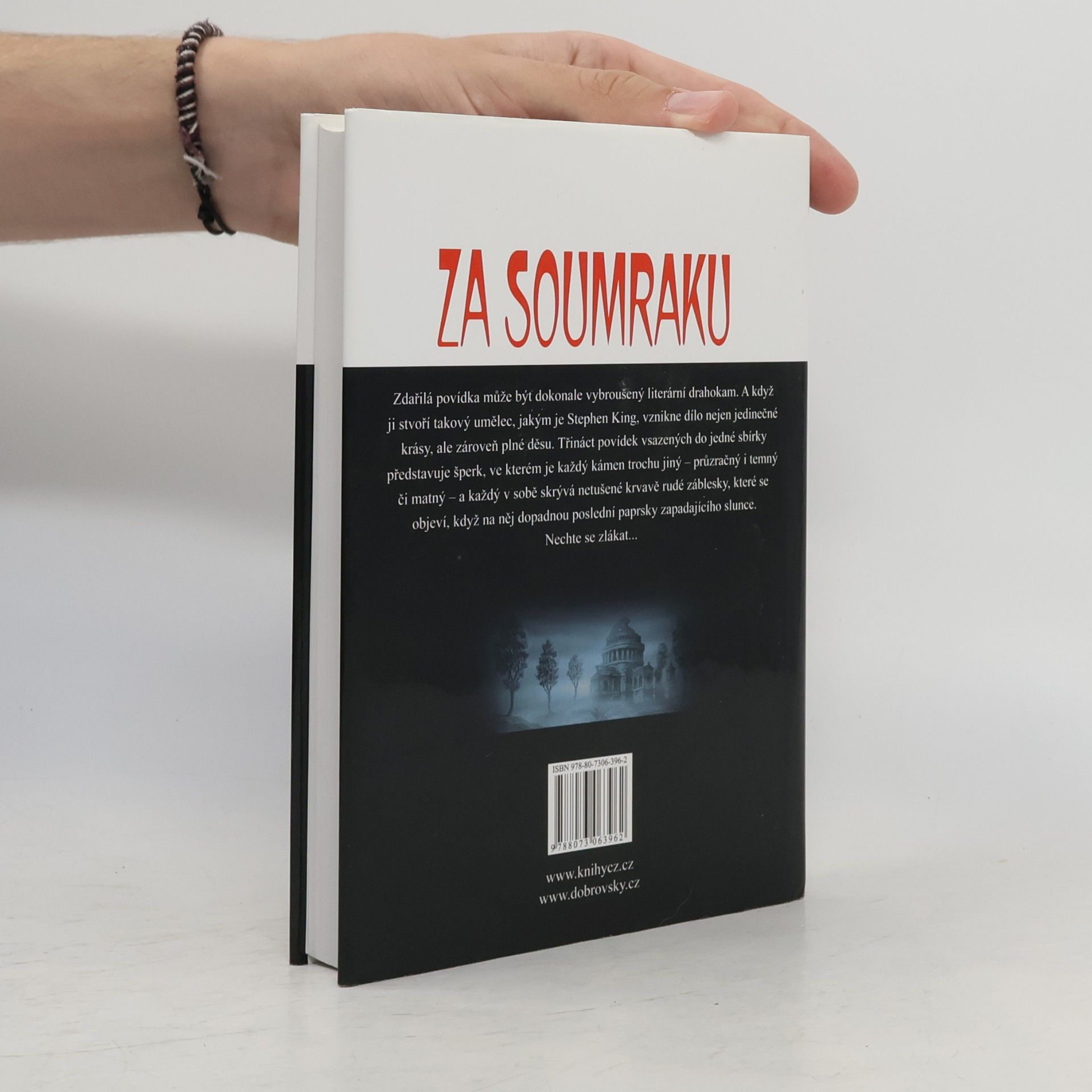 Stephen King Za soumraku