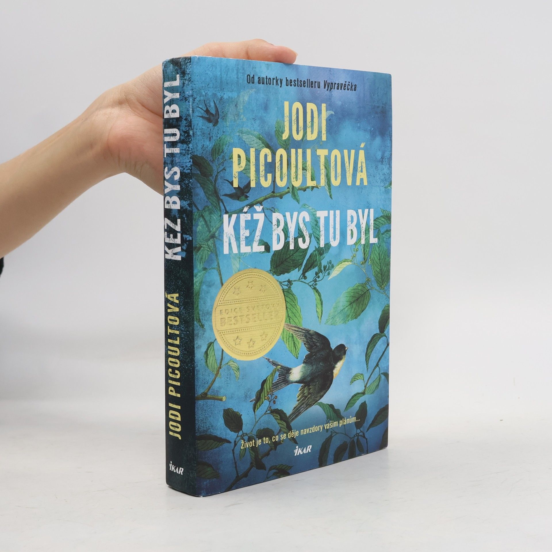 Marcela Nejedlá Kéž bys tu byl
