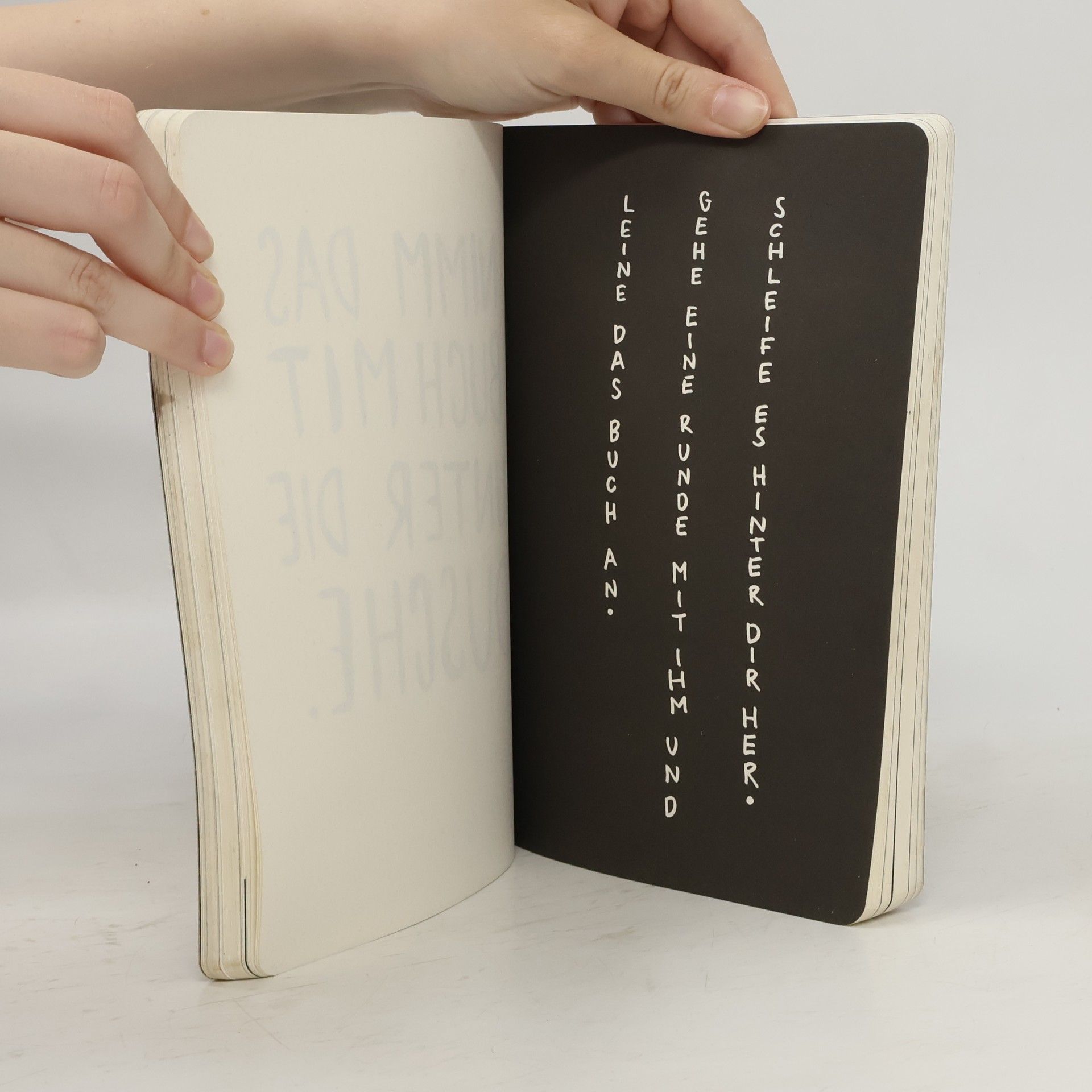 Keri Smith Mach dieses Buch Fertig