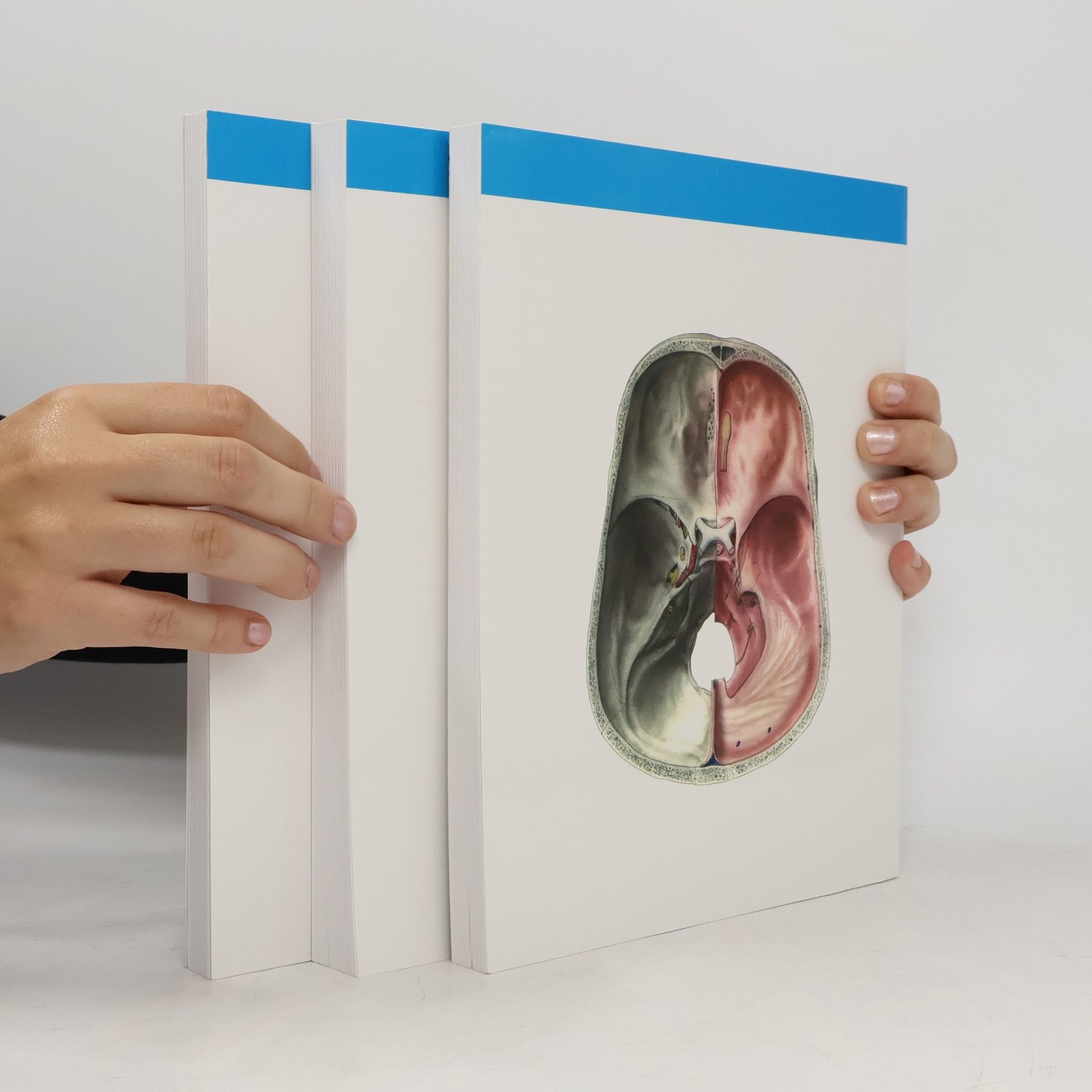 Radomír Čihák Anatomie 3. Svazky I-III