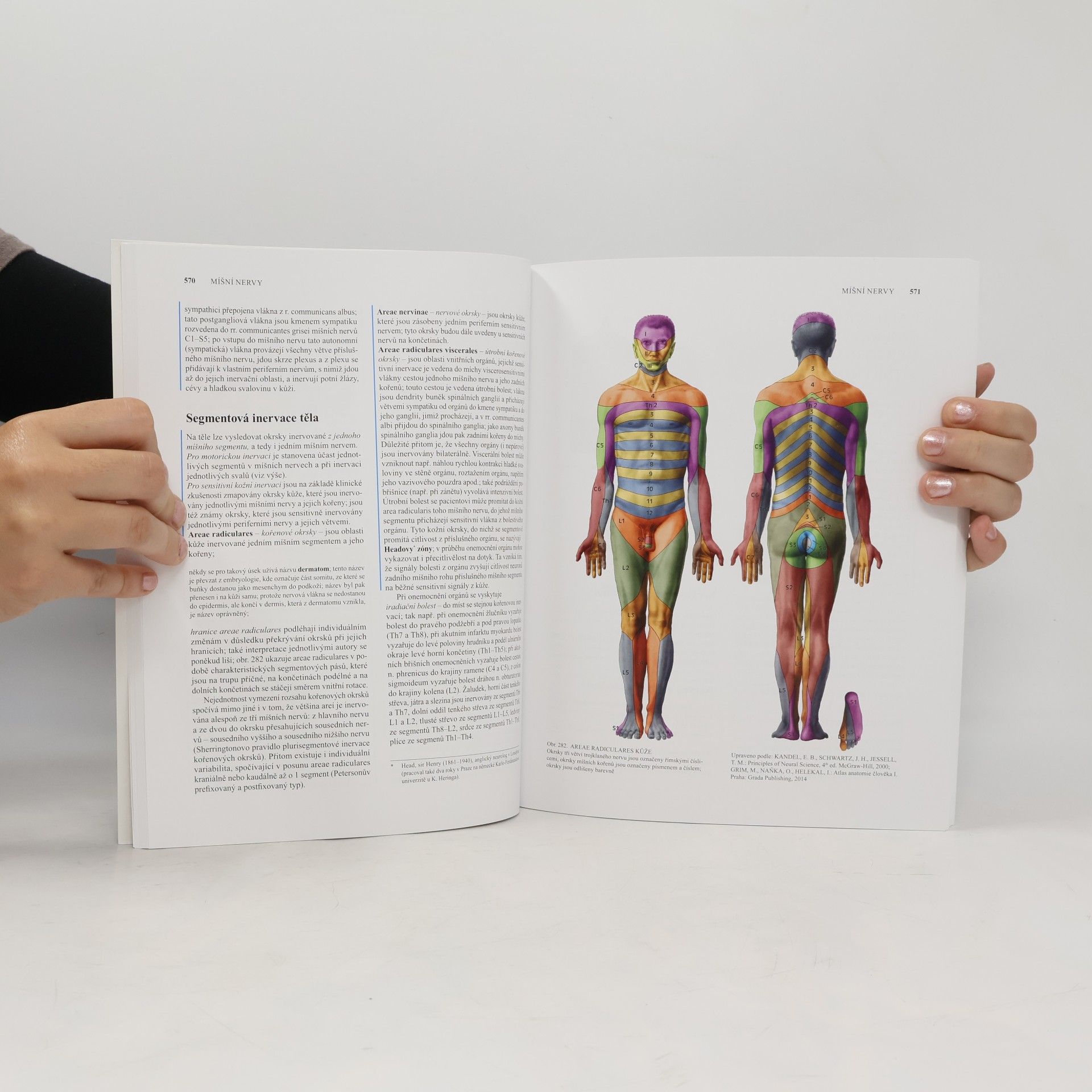 Radomír Čihák Anatomie 3. Svazky I-III