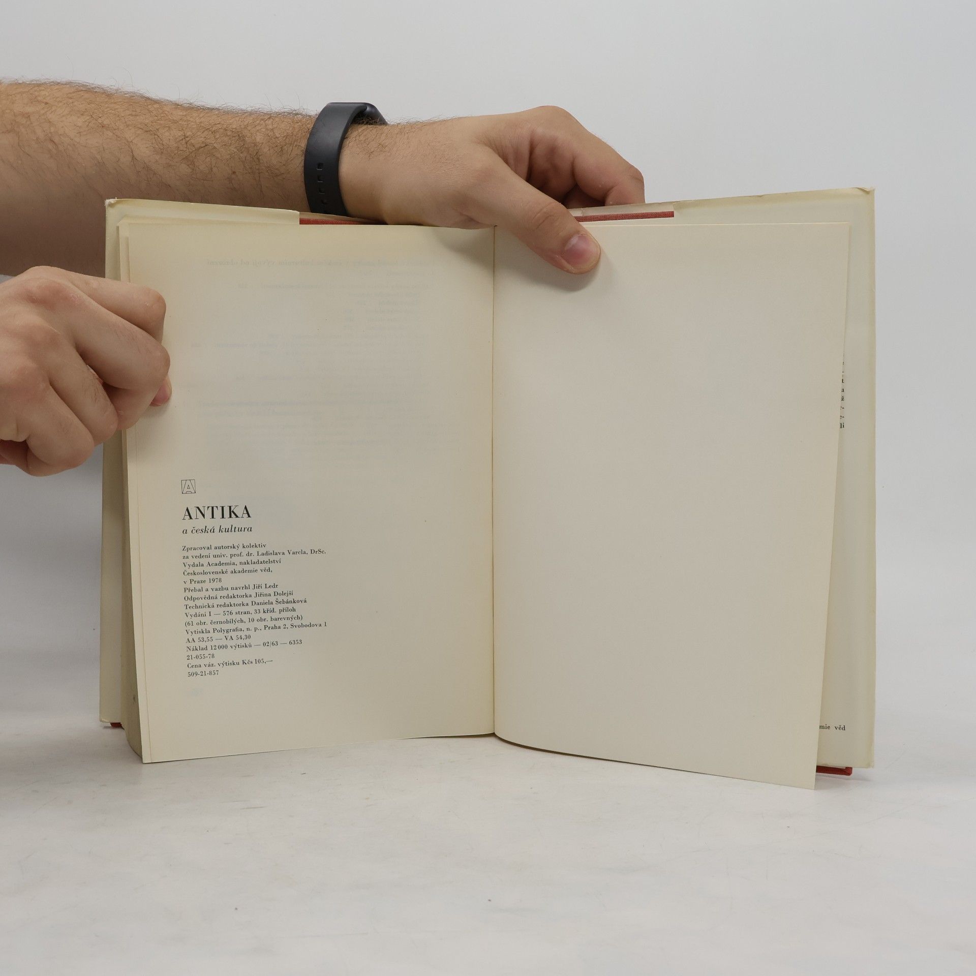 Autorenkollektiv Antika a česká kultura
