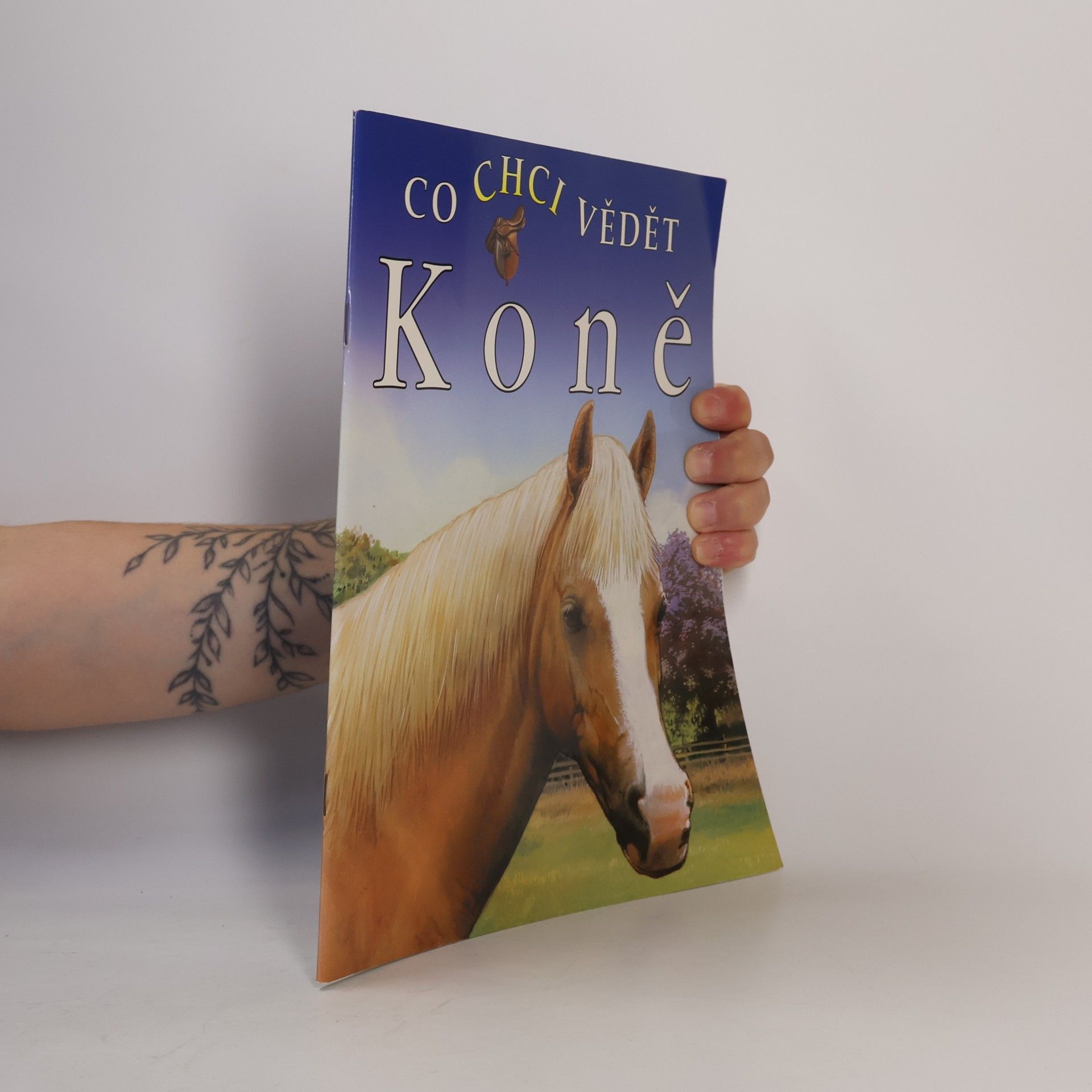Jackie Budd Co chci vědět - Koně