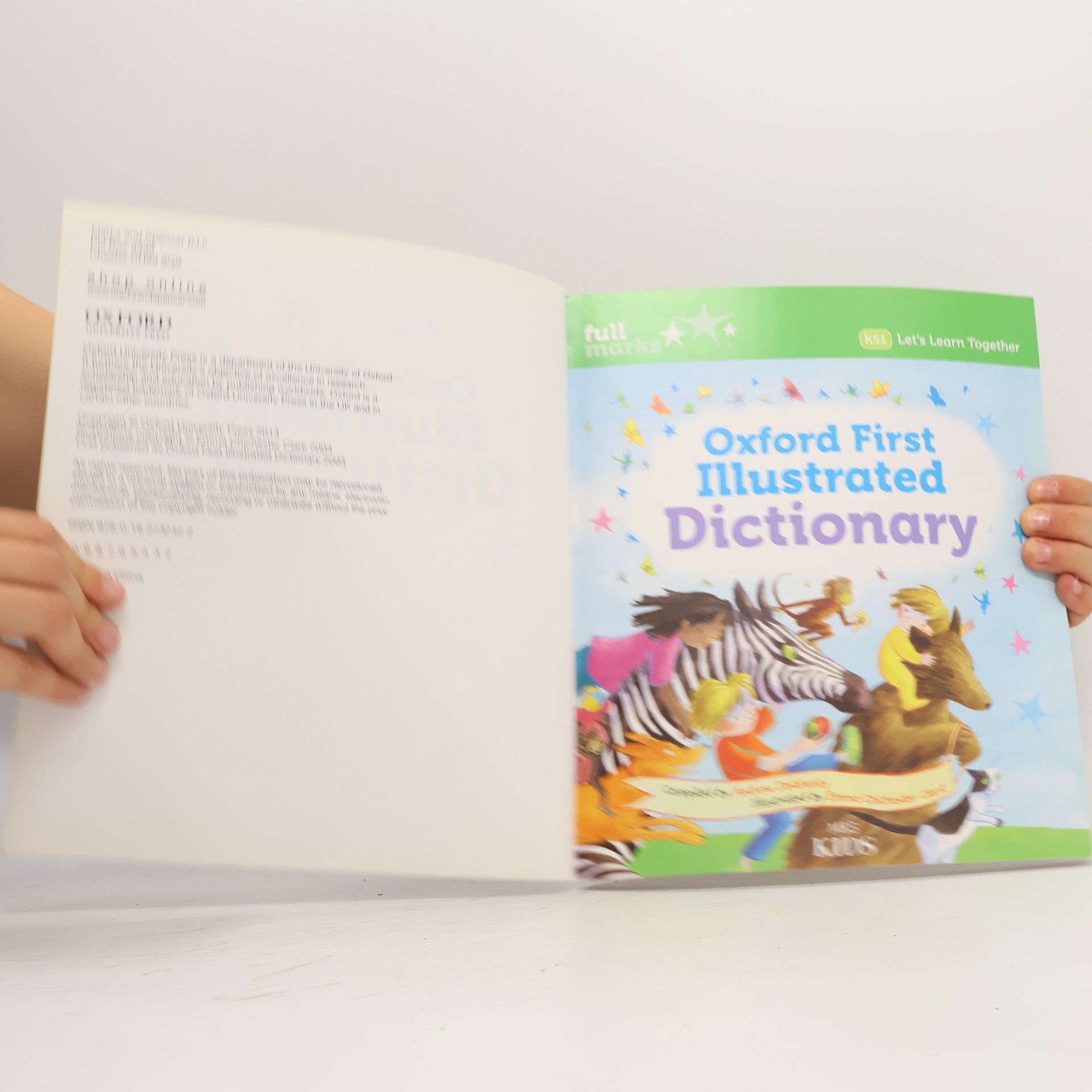 Emma Chichester Clark Oxford First Illustrated Dictionary